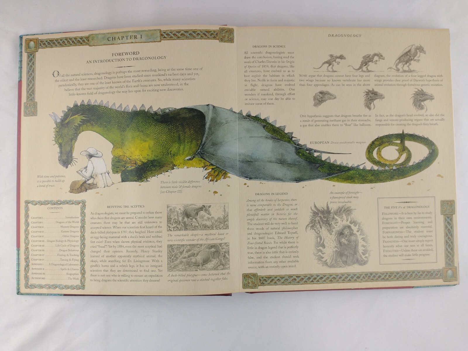 Ologies Ser.: Dragonology : The Complete Book of Dragons by Ernest Drake (2003,