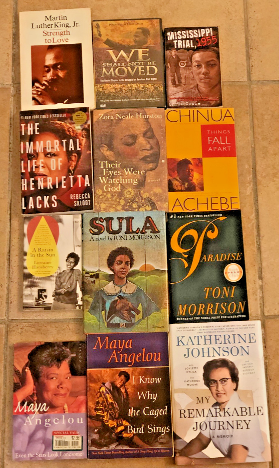 Lot of 11 African American Studies Books + DVD We Shall not be Moved NIP~ MLK ++