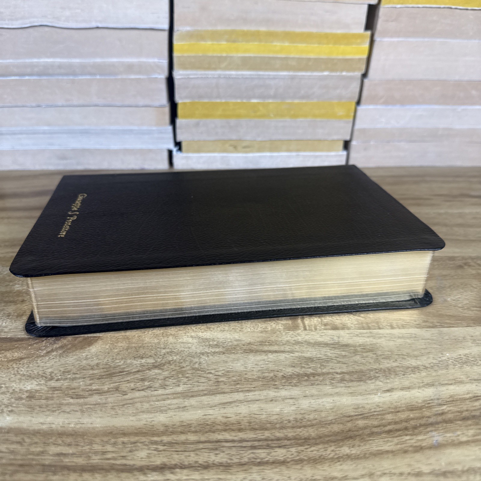 New Jerusalem Bible: Leather Edition Slipcase – Henry Wansbrough Catholic 1999
