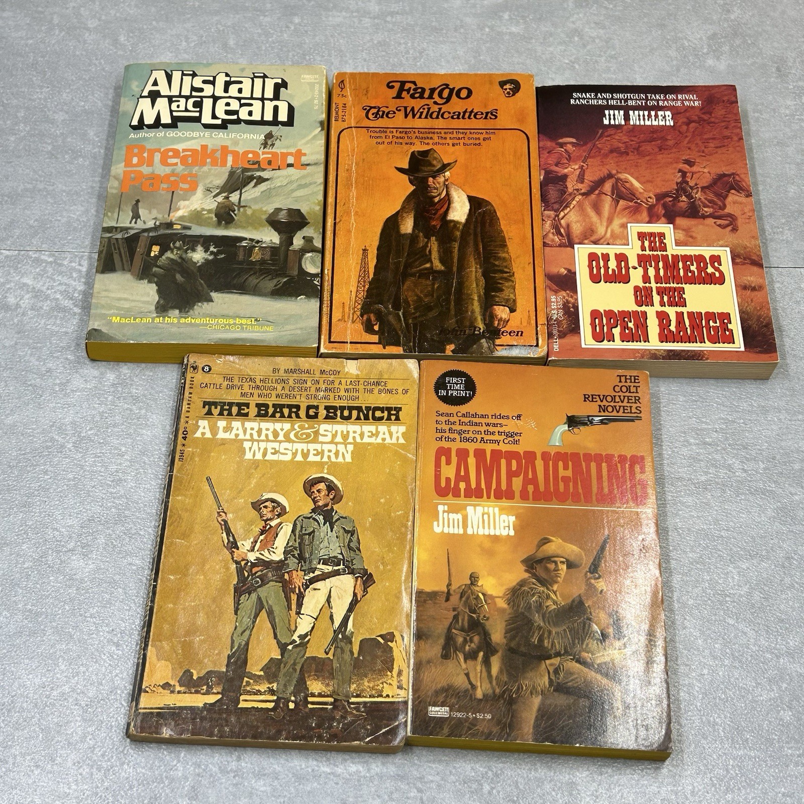 Lot of 5 Paperback Western Themed Novels Book Action Adventure American Frontier