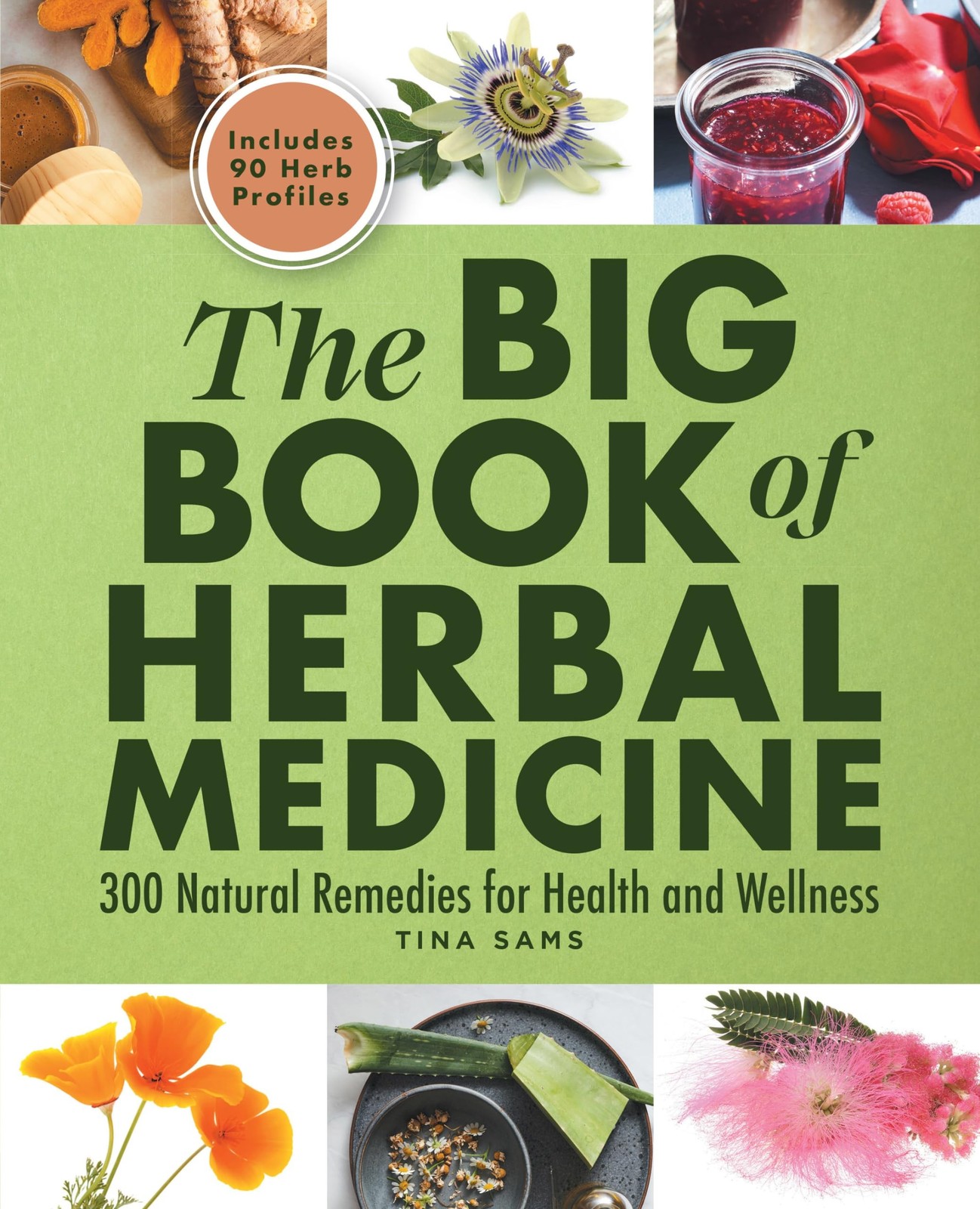 Herbal Medicine Big Book 300 Natural Remedies for Health and Wellness Guide NEW