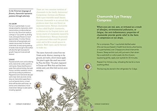 Herbal Handbook: 51 Profiles in Words and Art from the Rare Book and Folio Colle