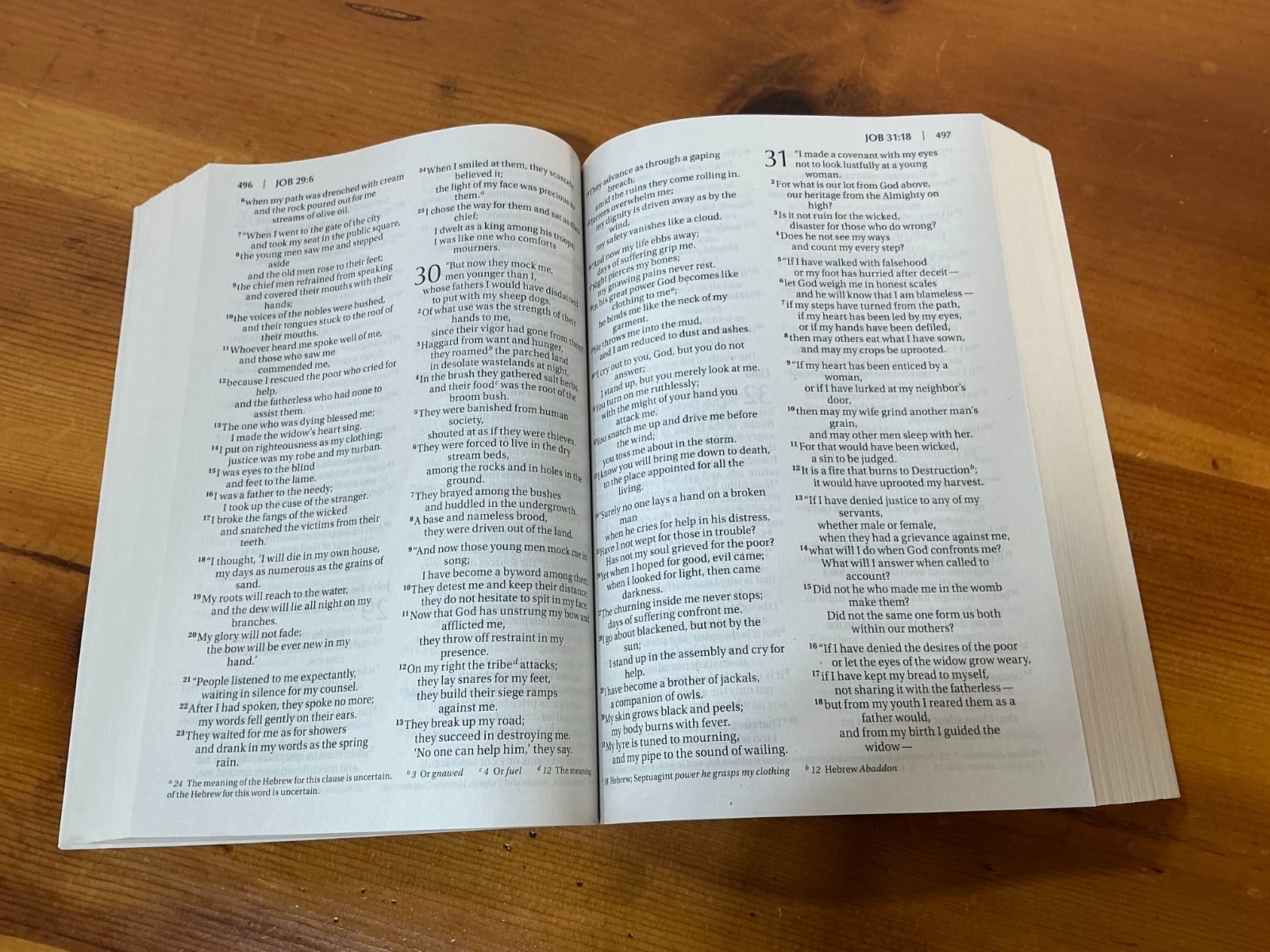 NIV Holy Bible Large Print by Zondervan Staff 2017, Paperback MINT UNUSED