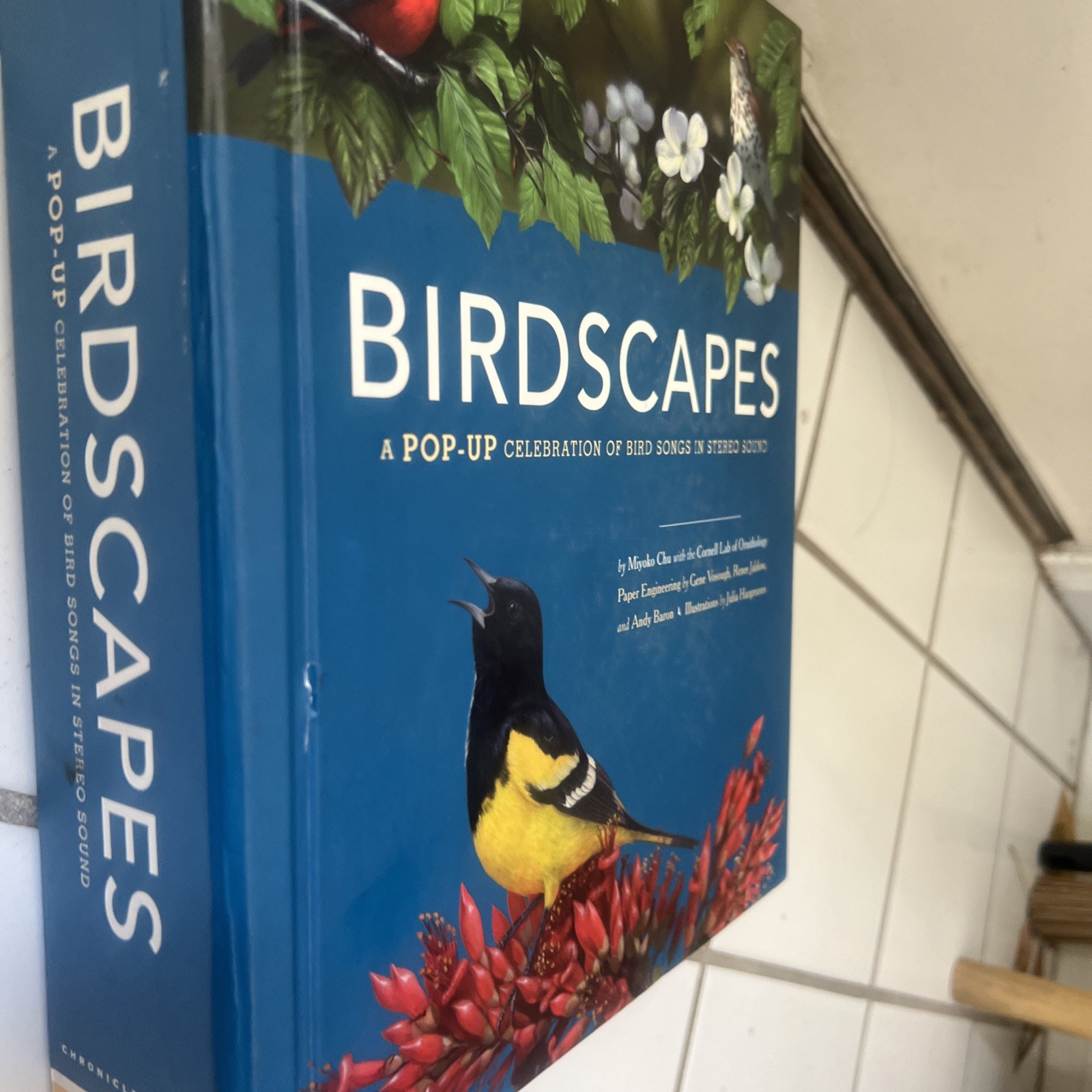 Birdscapes Pop Up Book Cornell Lab Miyoko Chu 2008 WORKING SOUND Birdsongs Audio
