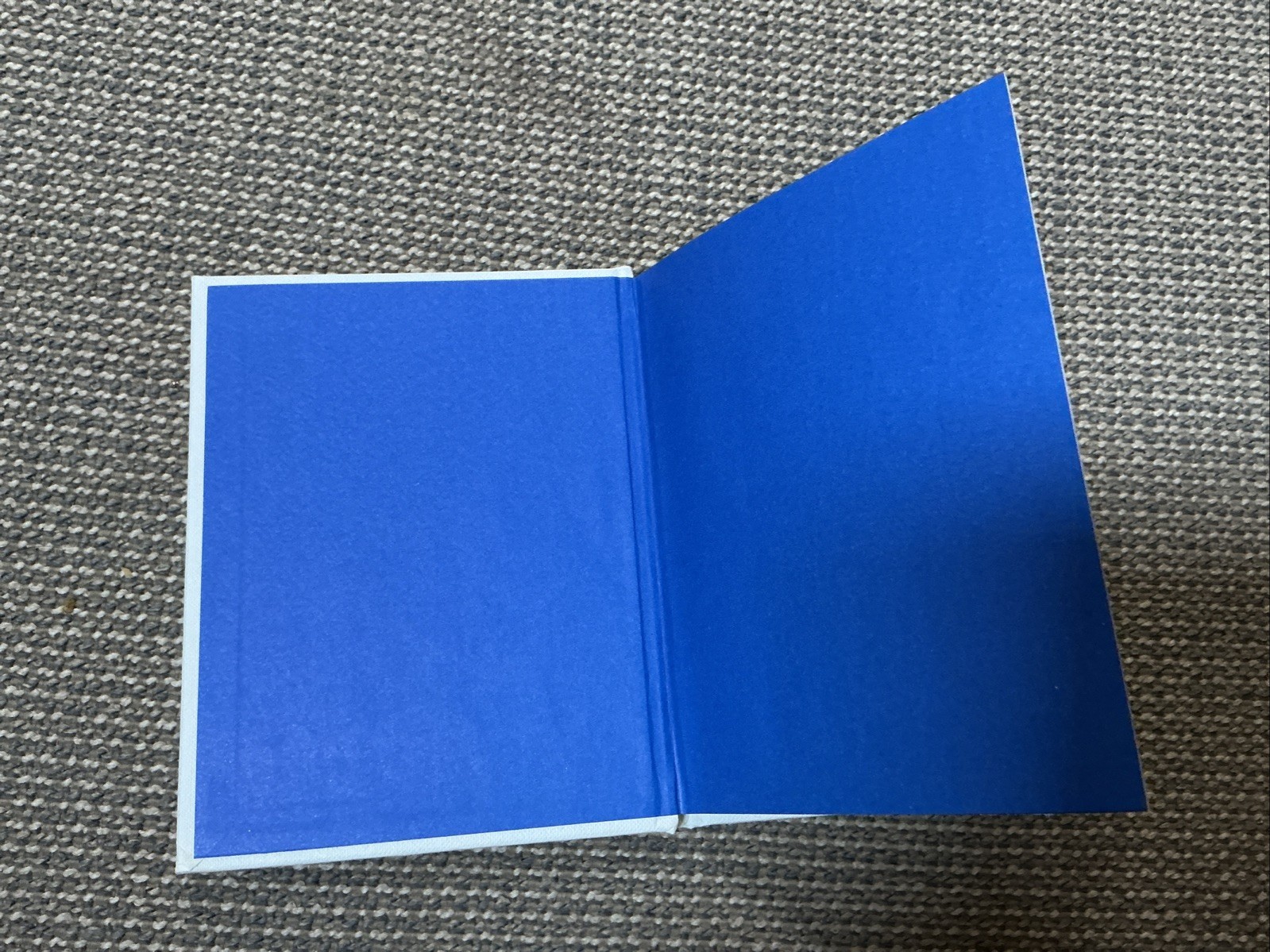The Gruffalo – Mini Hardcover By Donaldson, Julia -Blue Foil Special Edition