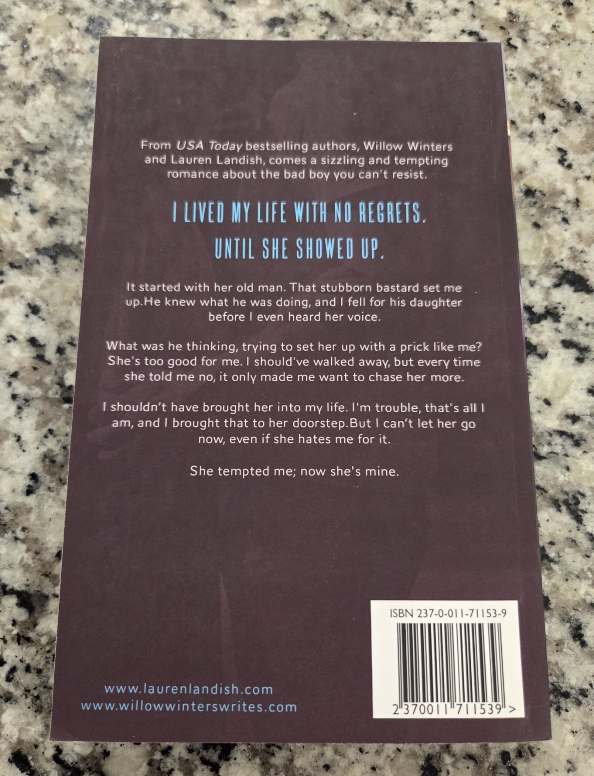 Tempted: A Bad Boy Next Door Soft Cover Lauren Landish & Willow Winters Book