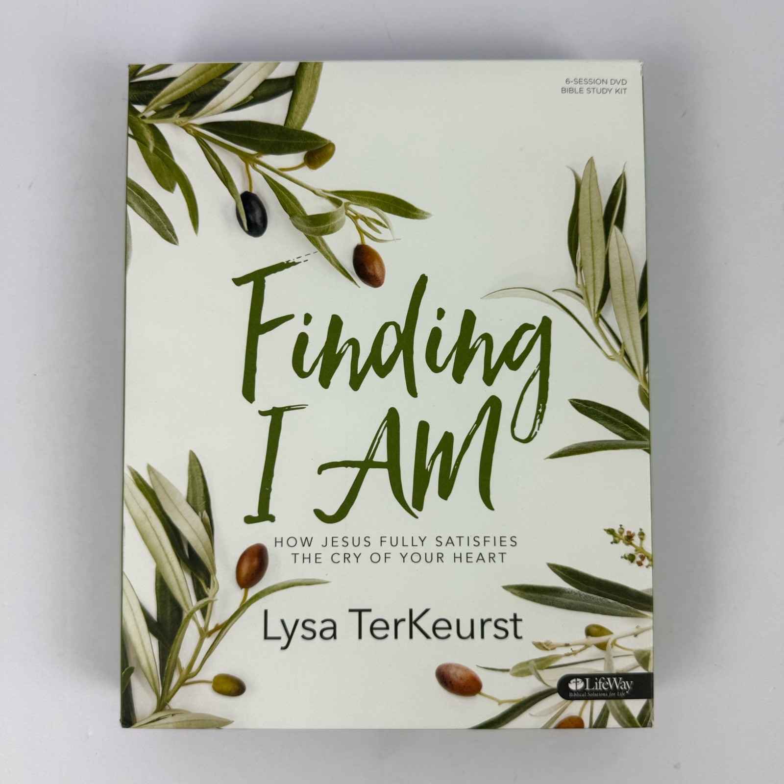 Finding I Am 6 Session DVD Bible Study Kit Lysa TerKeurst LifeWay 2016
