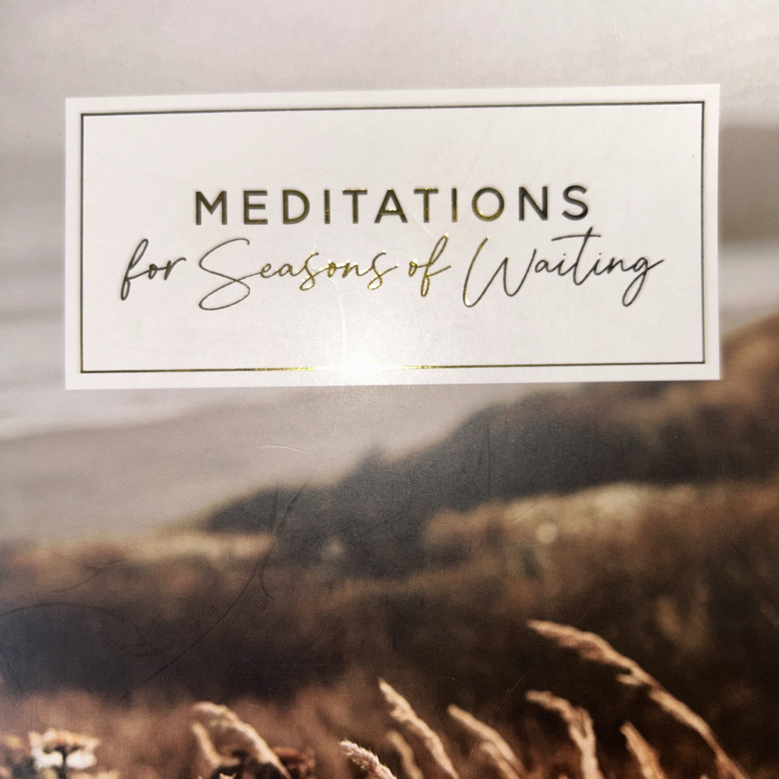The Daily Grace Co. Meditations for Seasons of Waiting (New)