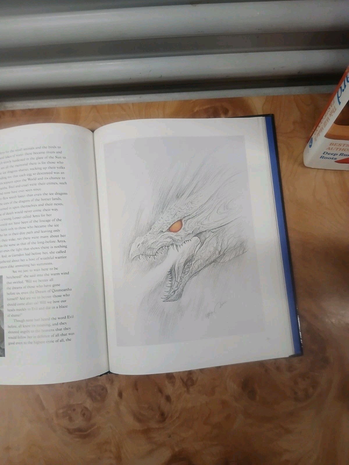 Dragonhenge Book by Bob Eggleton & John Grant Fantasy Medieval Magic Gift Legend