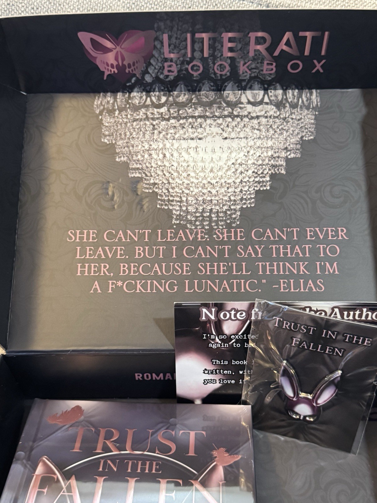 Trust In The Fallen Montana Fyre Romance Cartel Special Edition