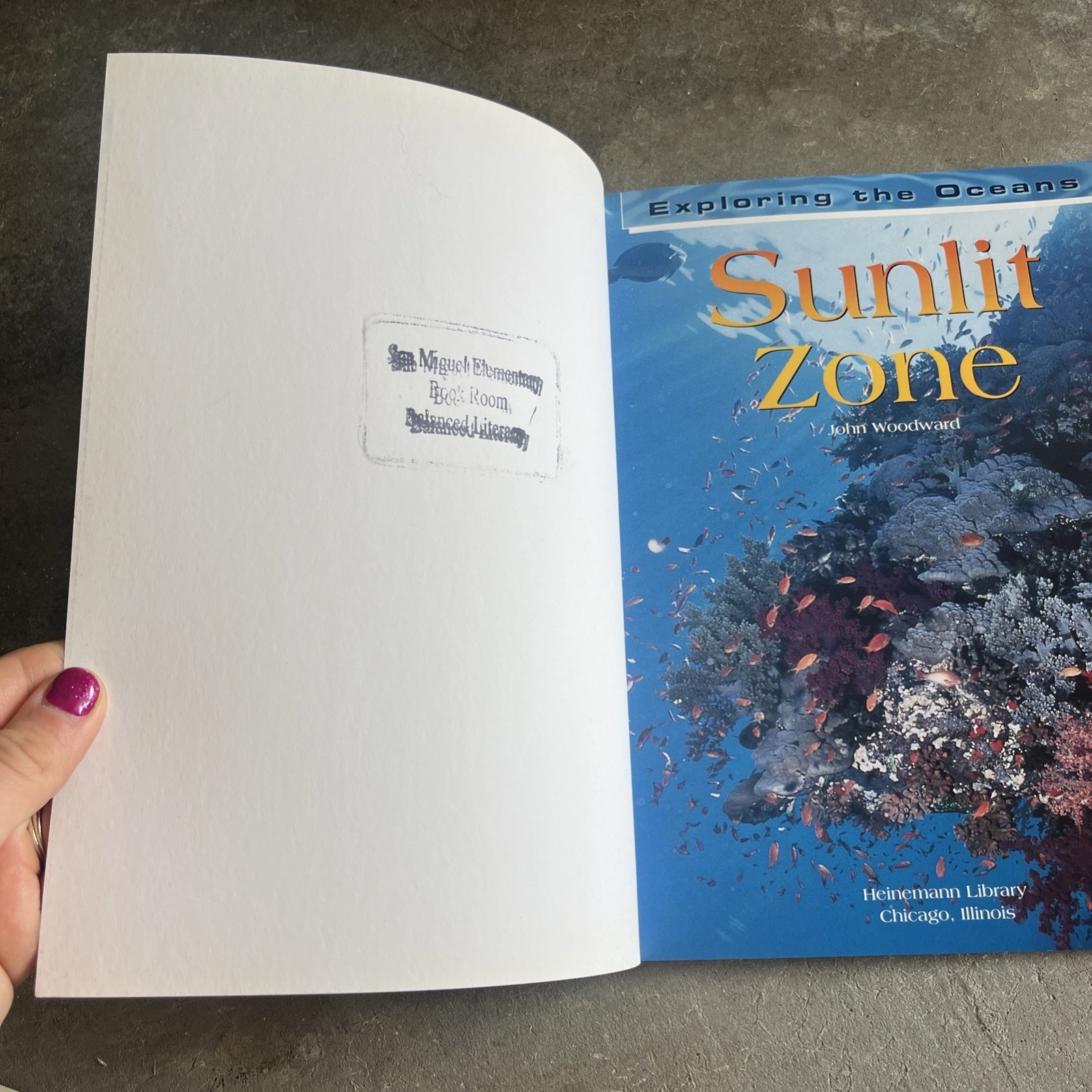 Exploring The Oceans: Sunlit Zone by John Woodward Paperback LIKE NEW