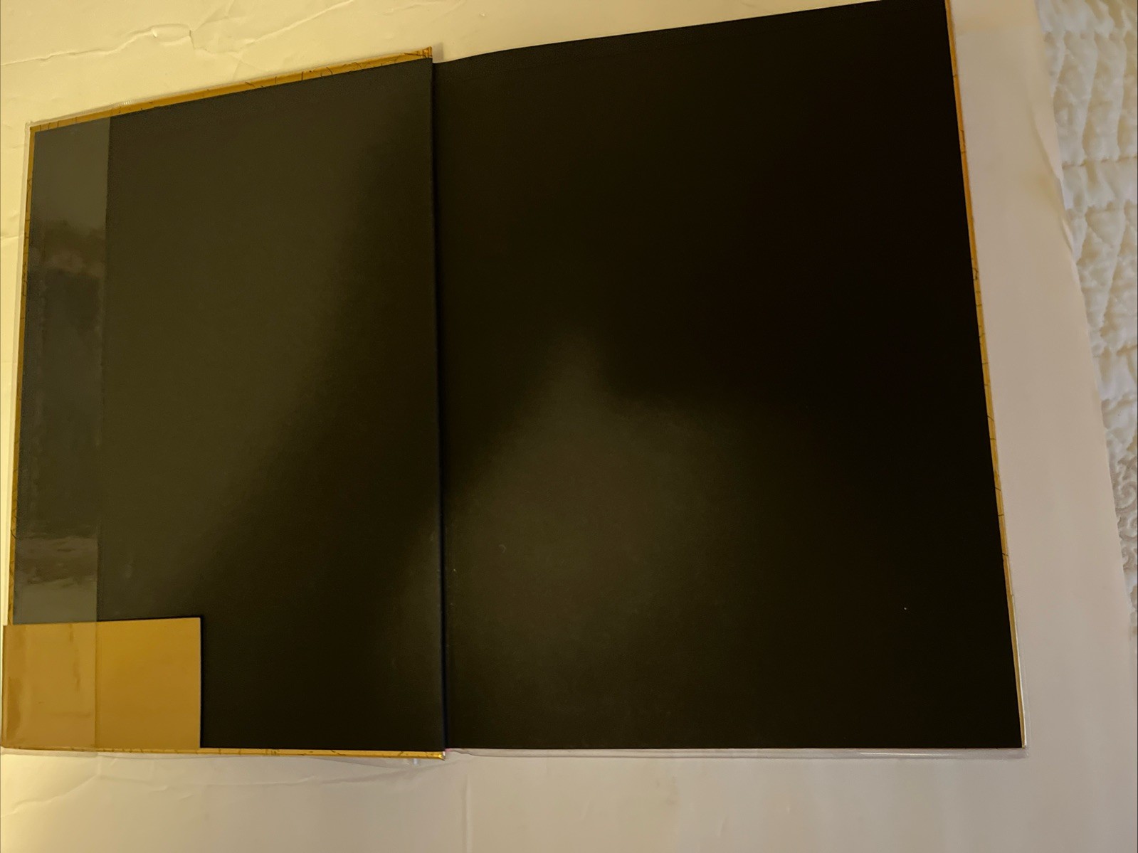 Pinacoteca Treville Series 4 By Erini Fujimara I HC 1995 Japanese Edition