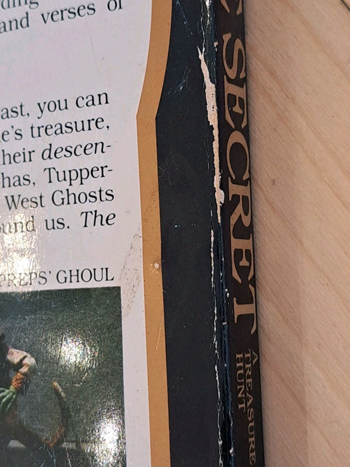 The Secret: A Treasure Hunt 1982 First Edition Bantam Paperback Palencar Preiss