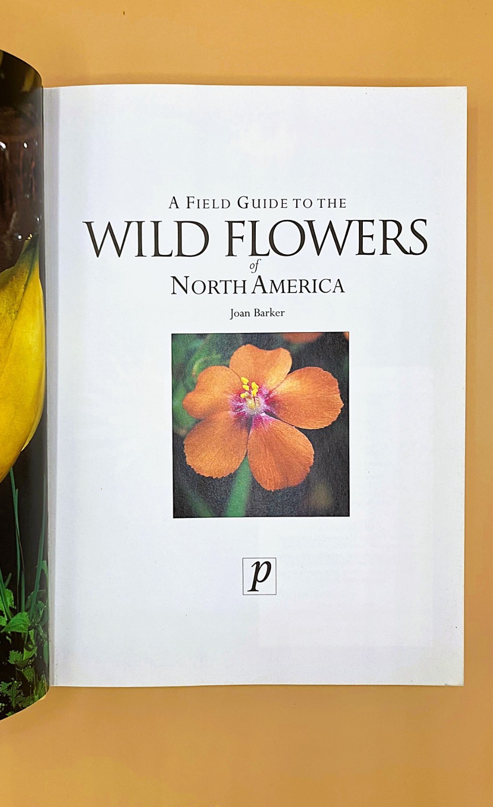 Gardener’s Lot of 4 Books, Very Good, The Orchid Show, Etc.