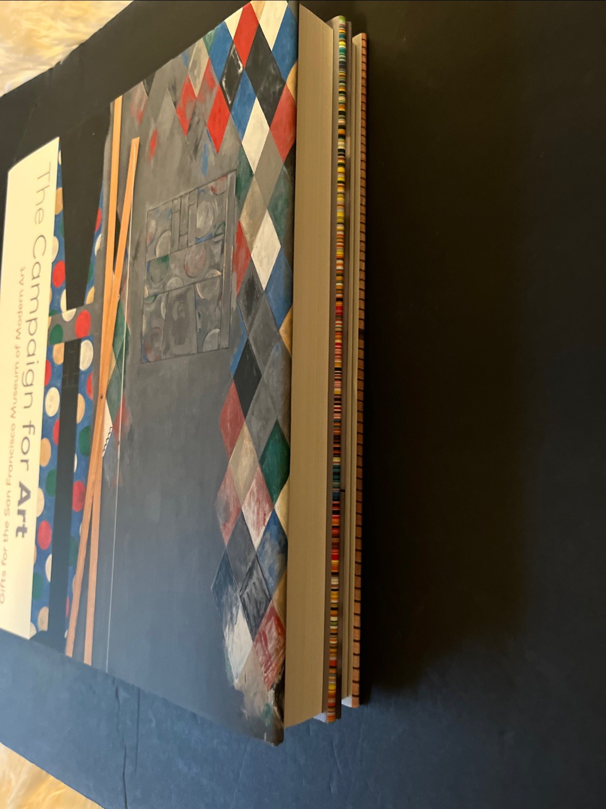 San Francisco MOMA Set Of 2 Books~ For Our Time & Compaign For Art