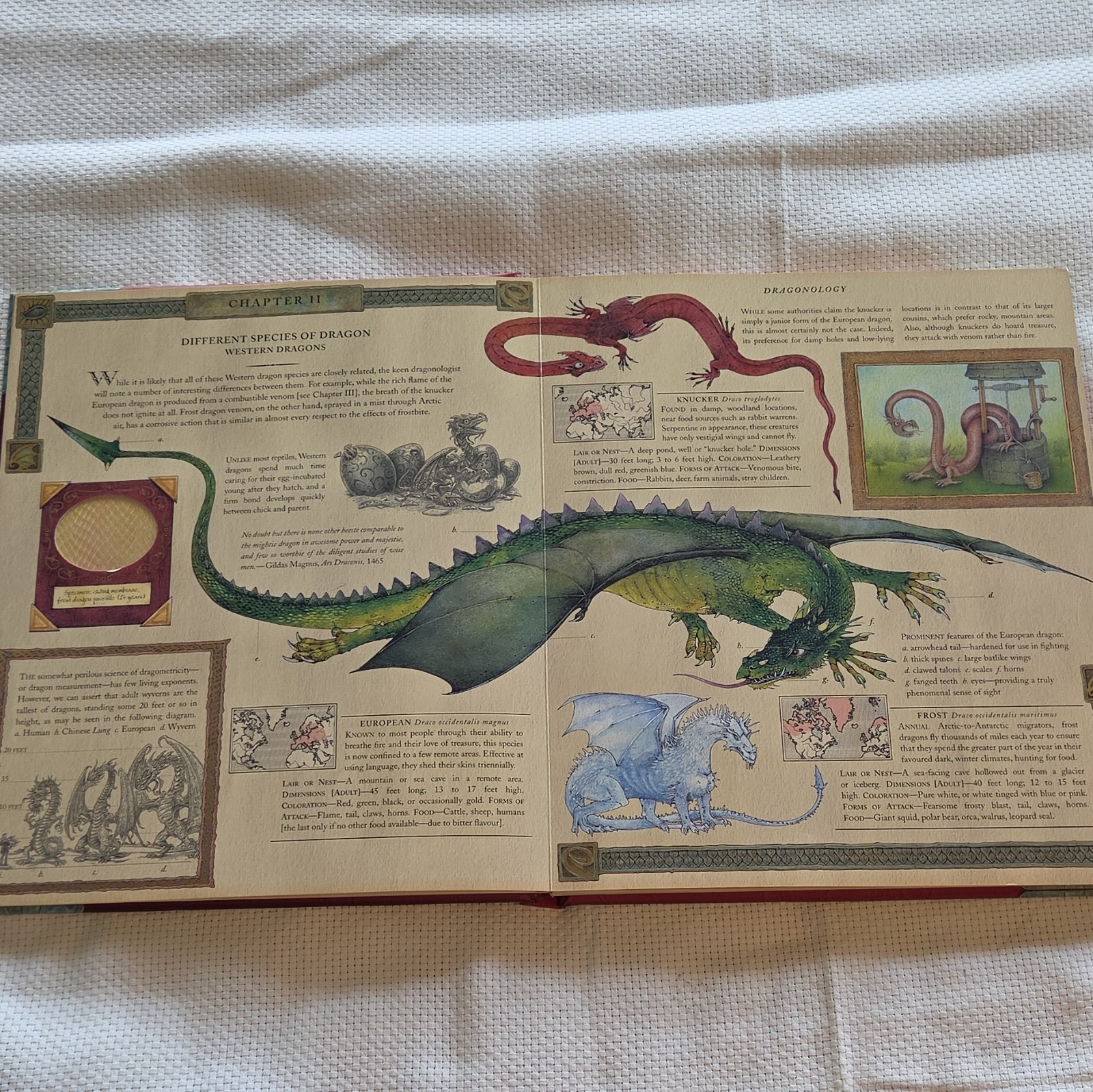 Dragonology: The Complete Book of Dragons by Ernest Drake Ologies Ser. HC Illus