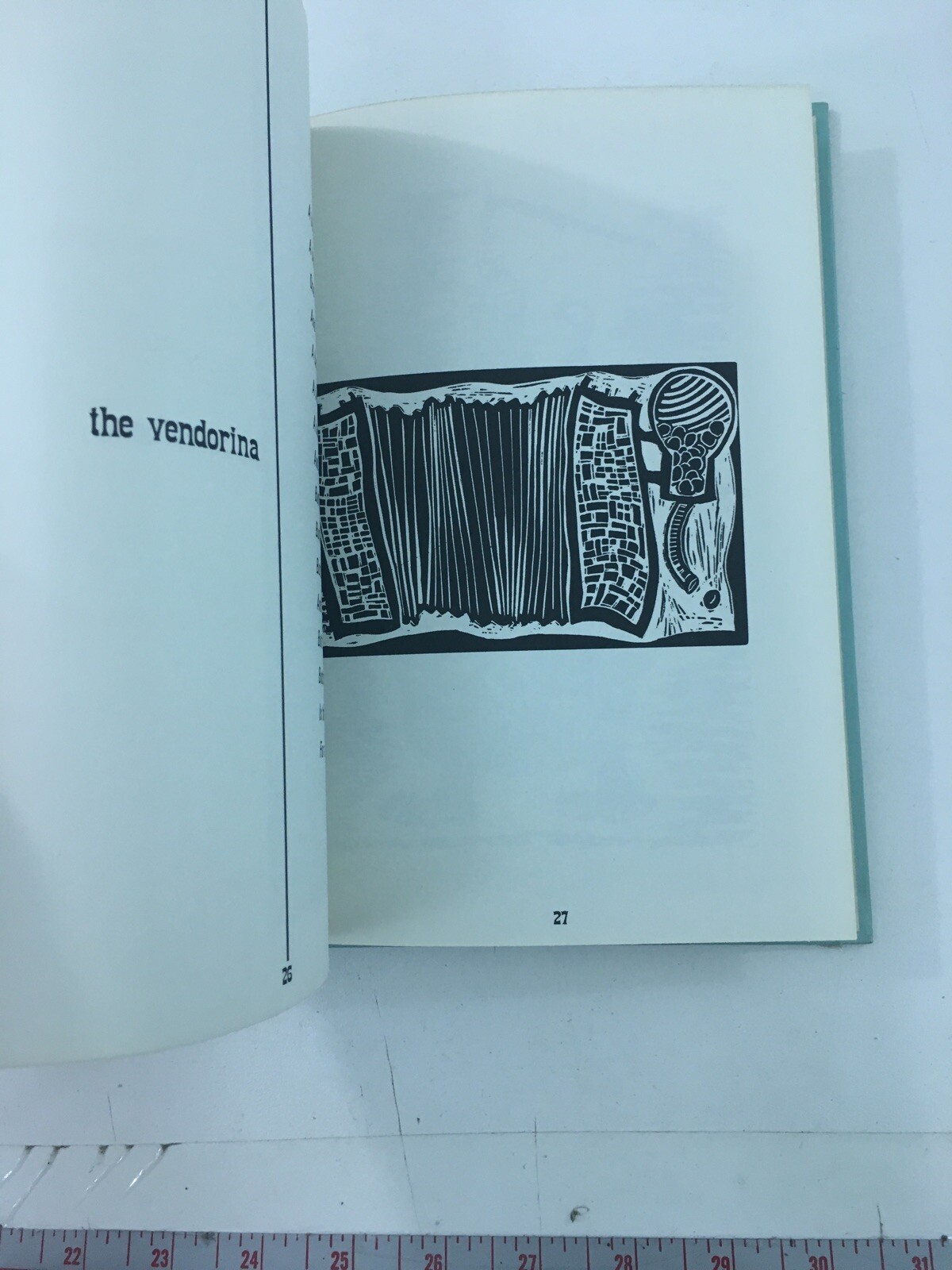 Practically Complete Guide To Almost Real Musical Instruments – Rudoff (1968, HC