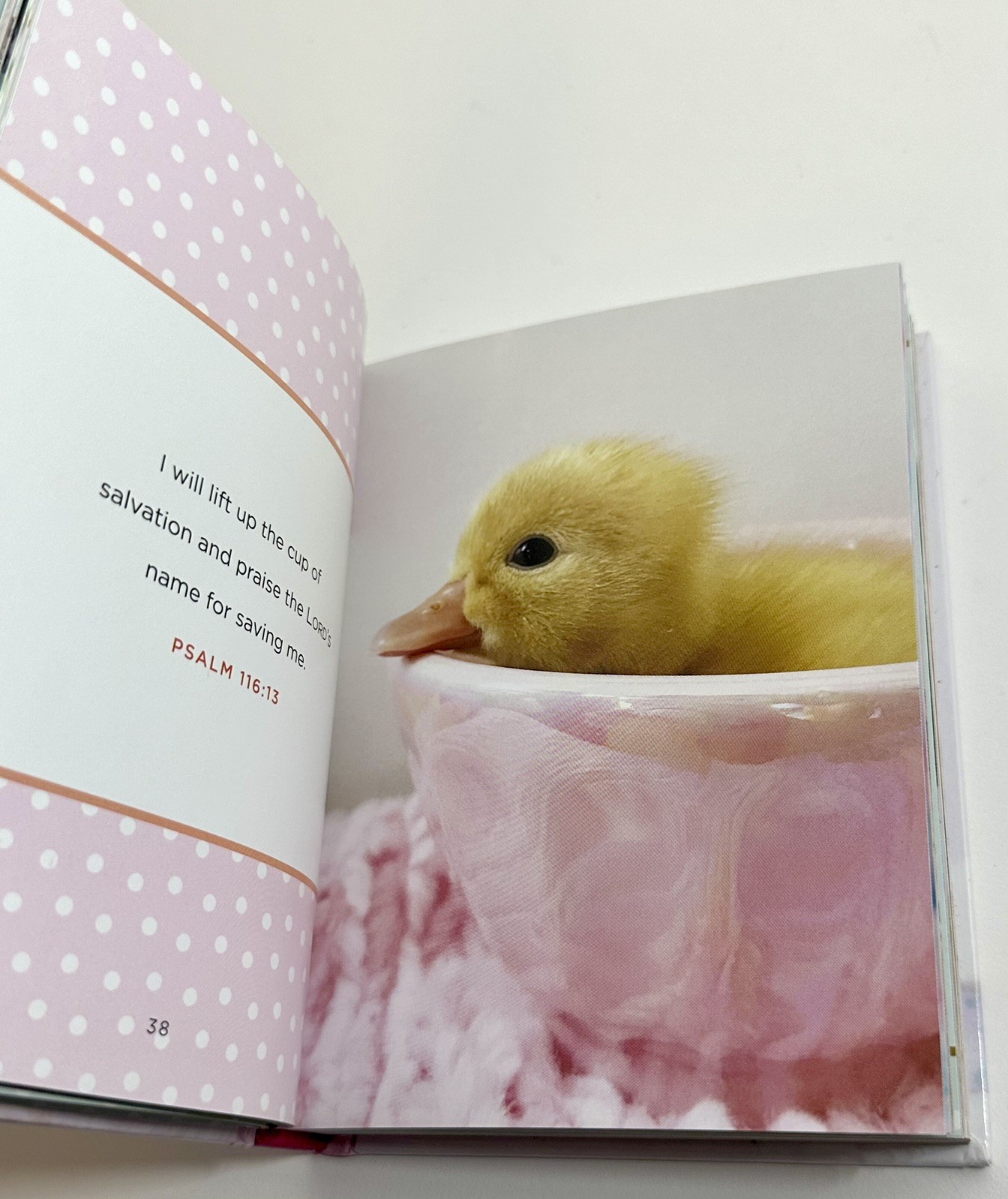 Lindsey Bonnice The Sweet Fluff (Hardback), Brand New