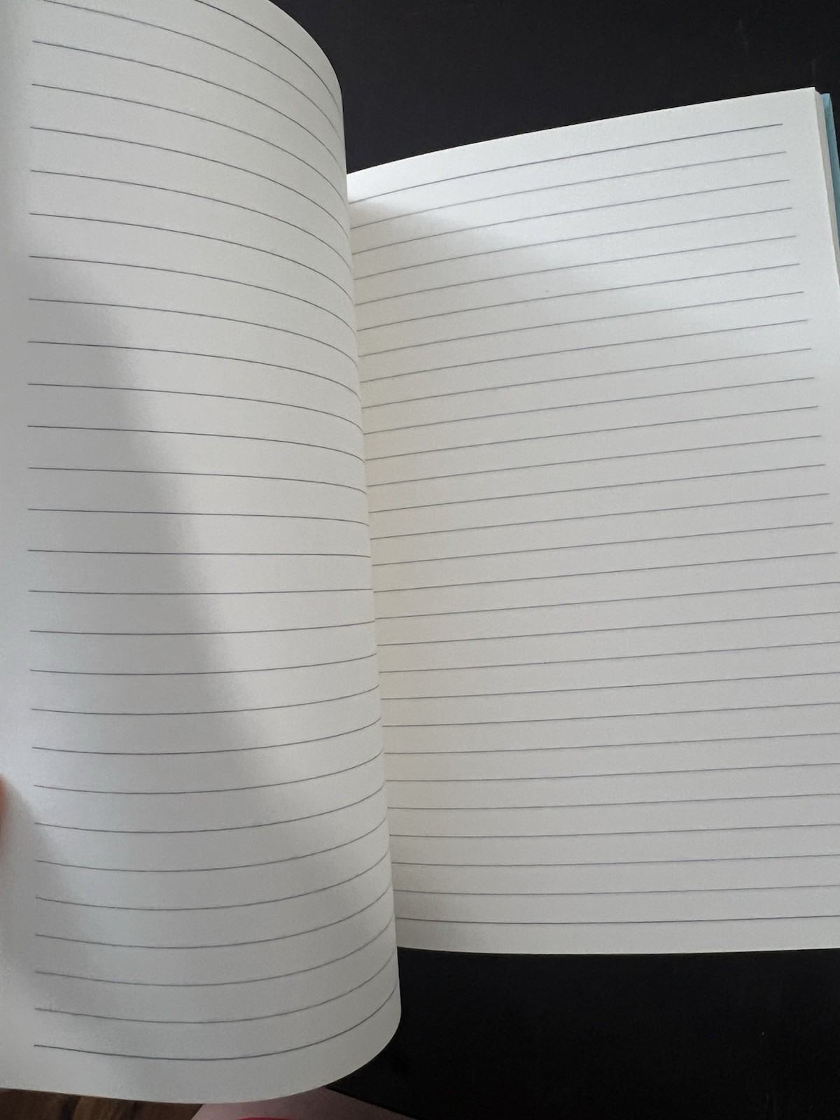 DRAGON BALL Z Dragonball Hardcover Journal (120 Pages) Read See Photos