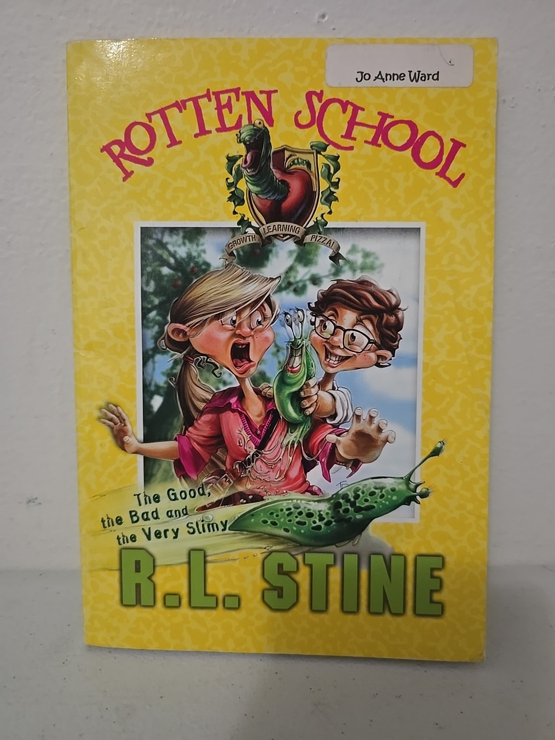 R.L. Stine Book Lot Of 24- Fear Street, Twisted, Rotten School, Goosebumps,