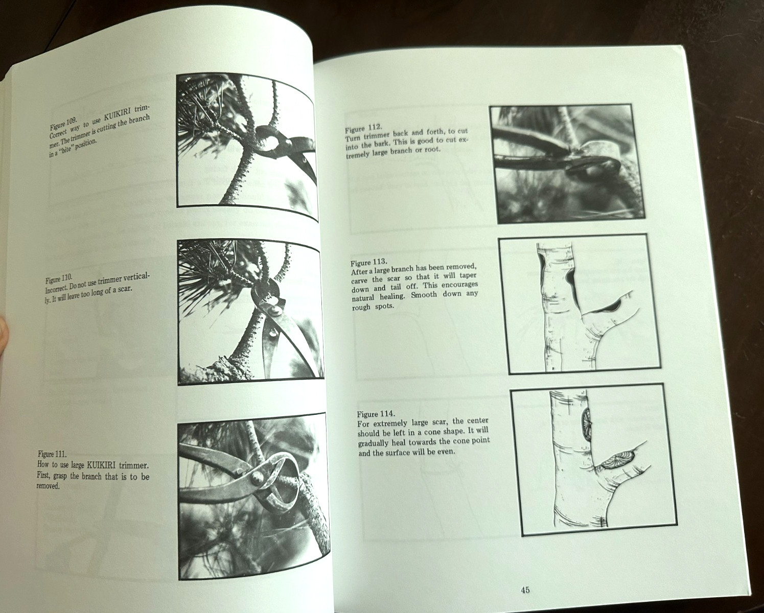 BONSAI TECHIQUES I by John Yoshio Naka (269 pages, Paperback)
