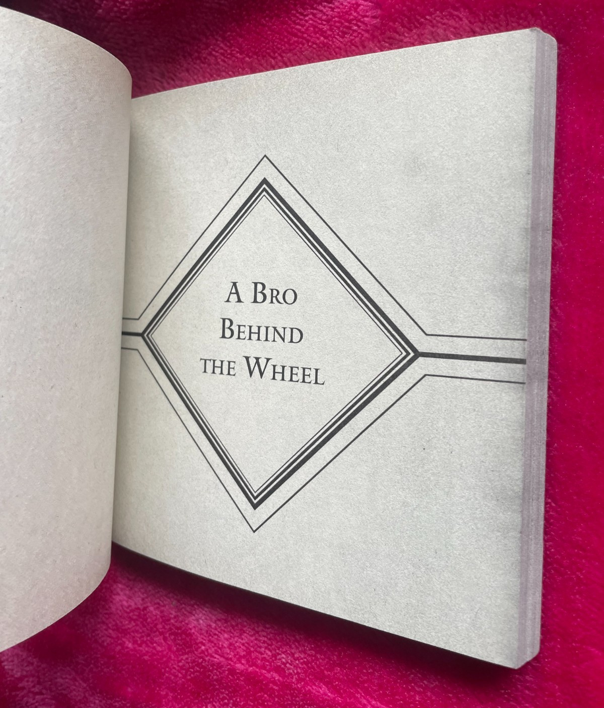 BRO ON THE GO. BARNEY STINSON, MATT KUHN. 14 BY 14CM. PAPERBACK. 2009
