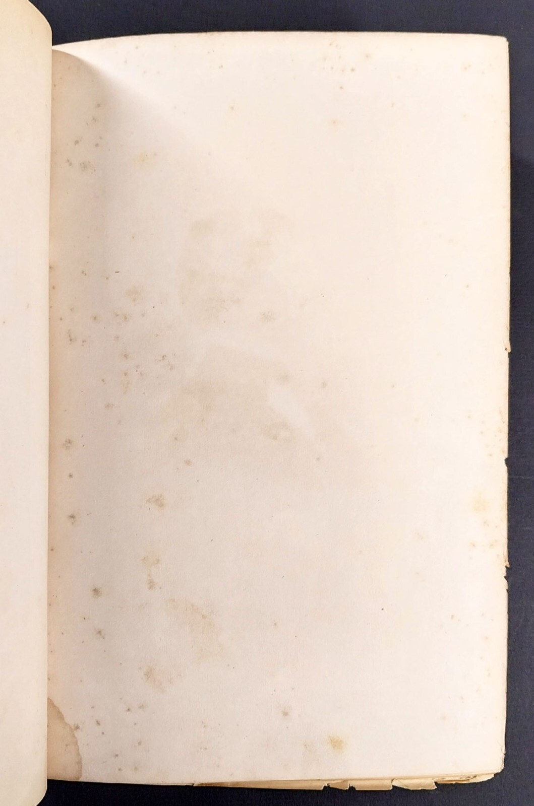 William H Seward’s Travels Around The World HC 1874 Illustrated D Appleton & Co