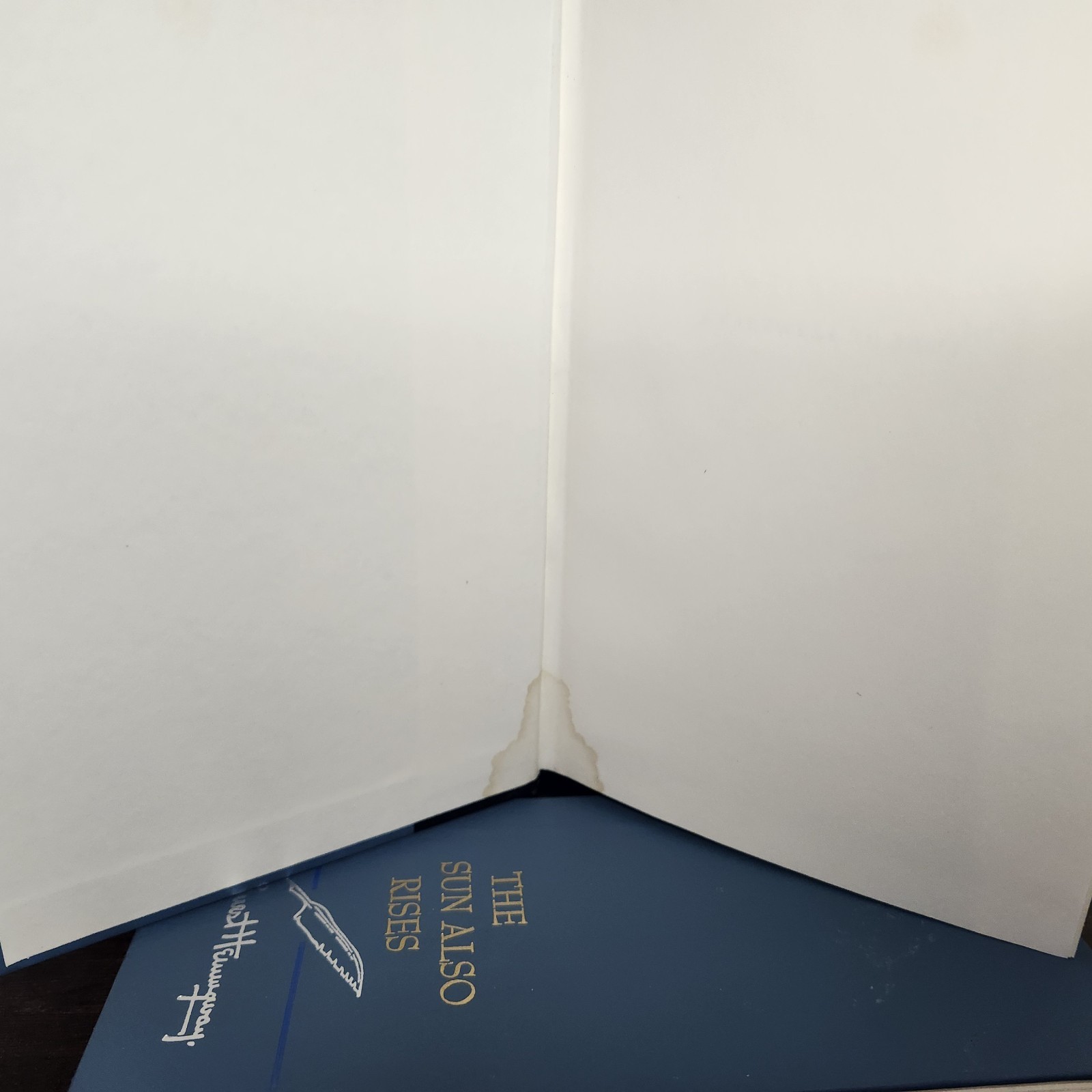Lot of 2 Hemingway books : The Sun Also Rises (1954) & A Farewell to Arms (1957)