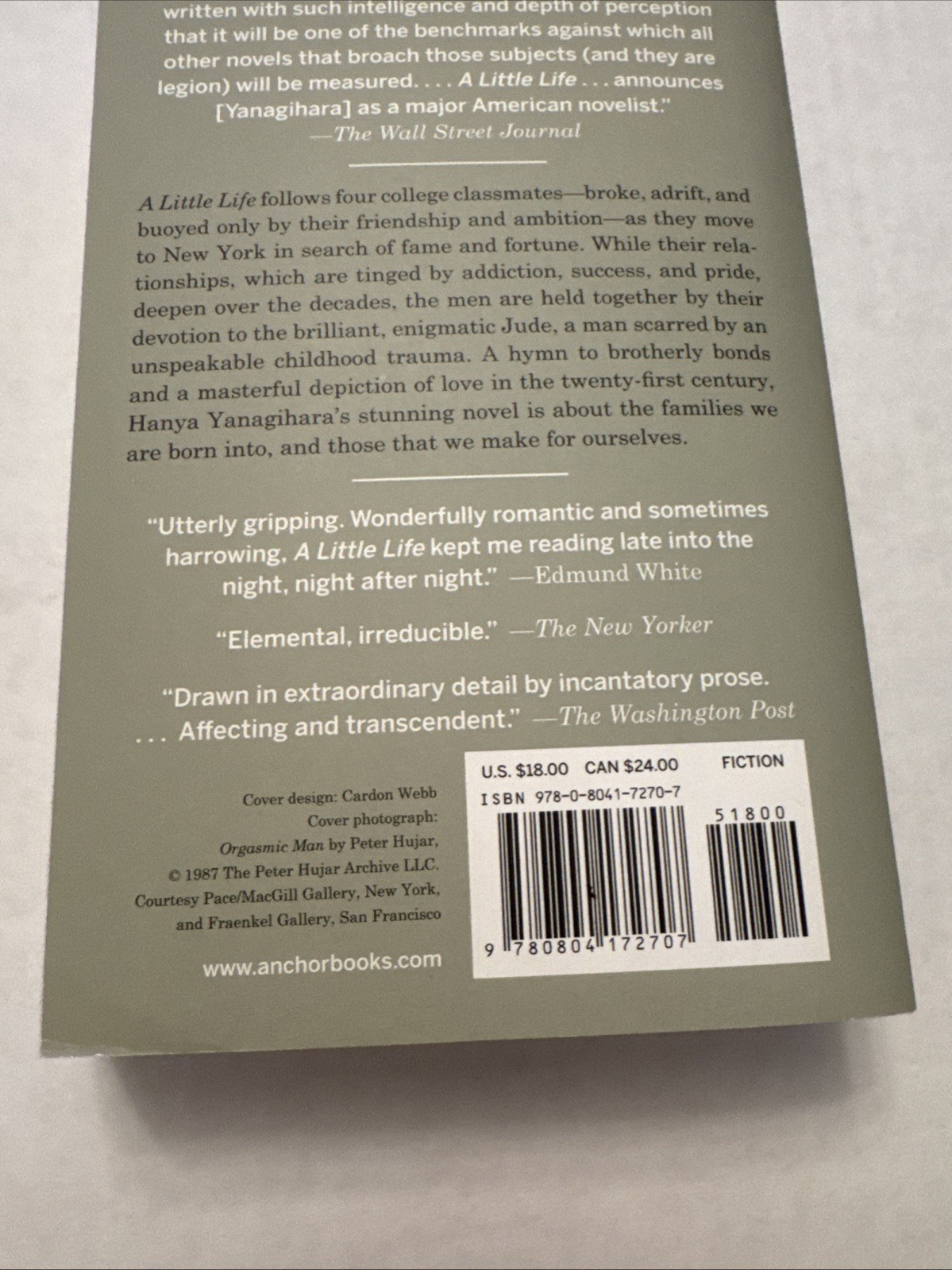 Little Life by Hanya Yanagihara (2016, Trade Paperback)