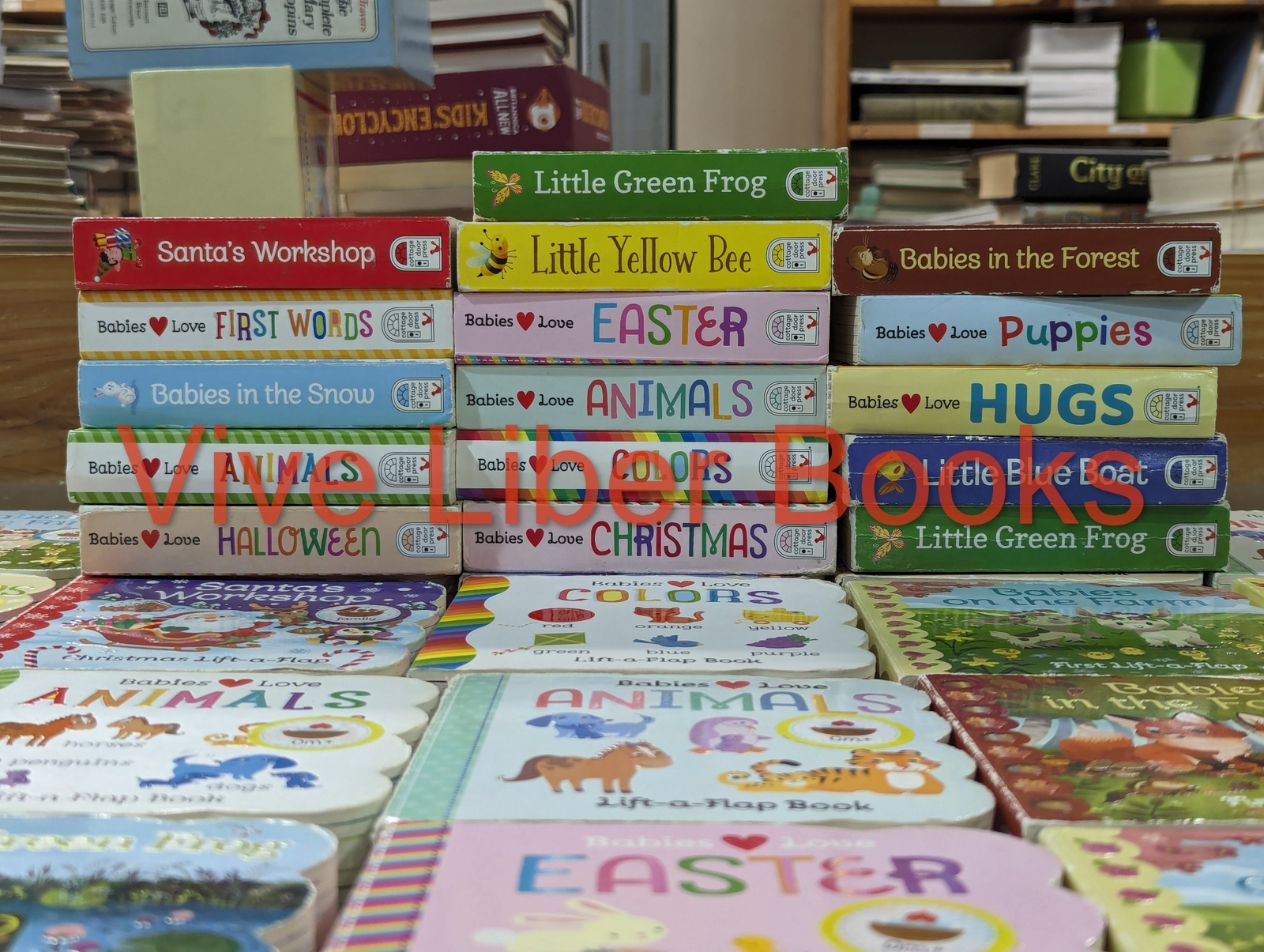 Lot of 5 Lift-A-Flap Board Books Lot Random