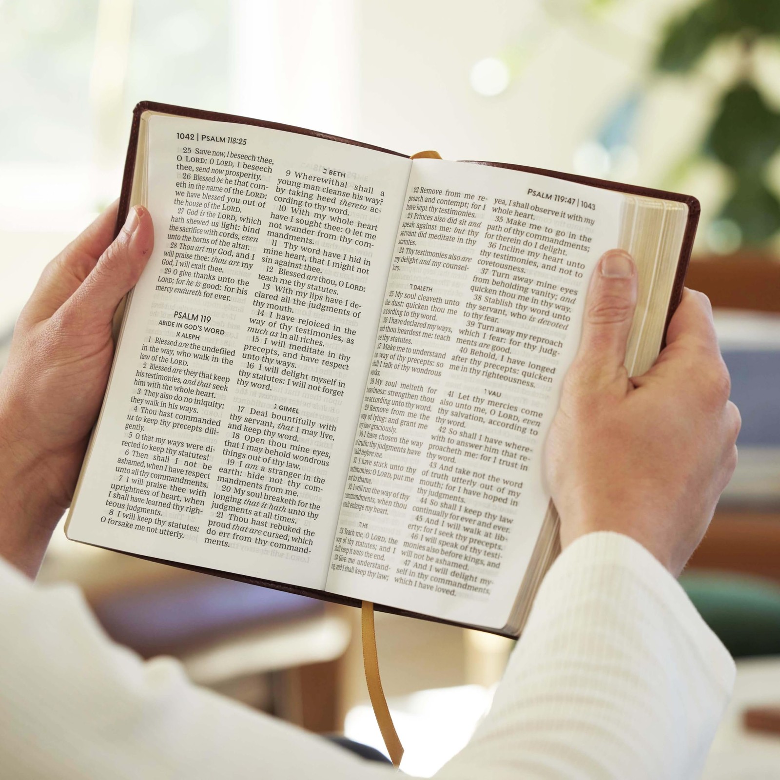 KJV Holy Bible: Personal Size Giant Print, Brown Leathersoft, Red Letter,…