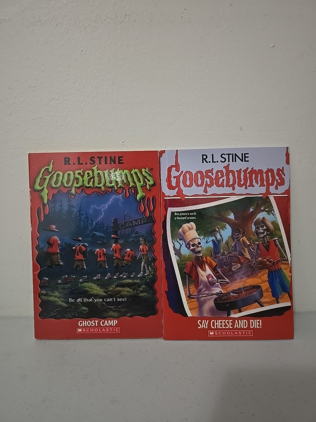 R.L. Stine Book Lot Of 24- Fear Street, Twisted, Rotten School, Goosebumps,