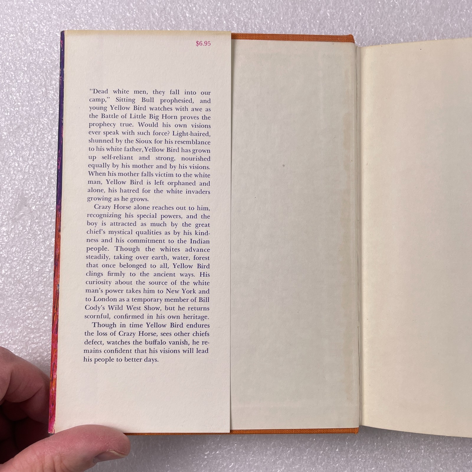 The Life and Death of Yellow Bird by James Forman – Farrar Straus Giroux 1975 HC