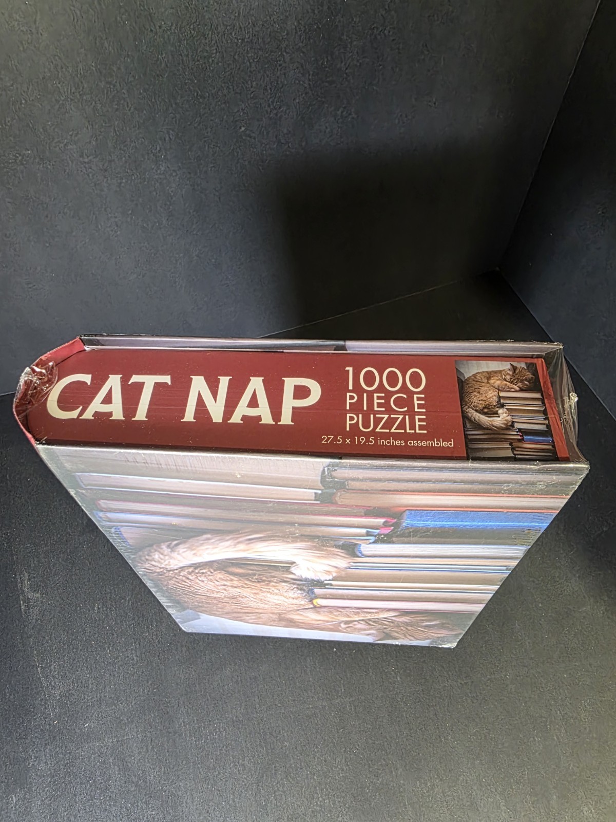 Gibbs Smith Cat Nap 1000 Piece Jigsaw Puzzle in Book Shaped Box