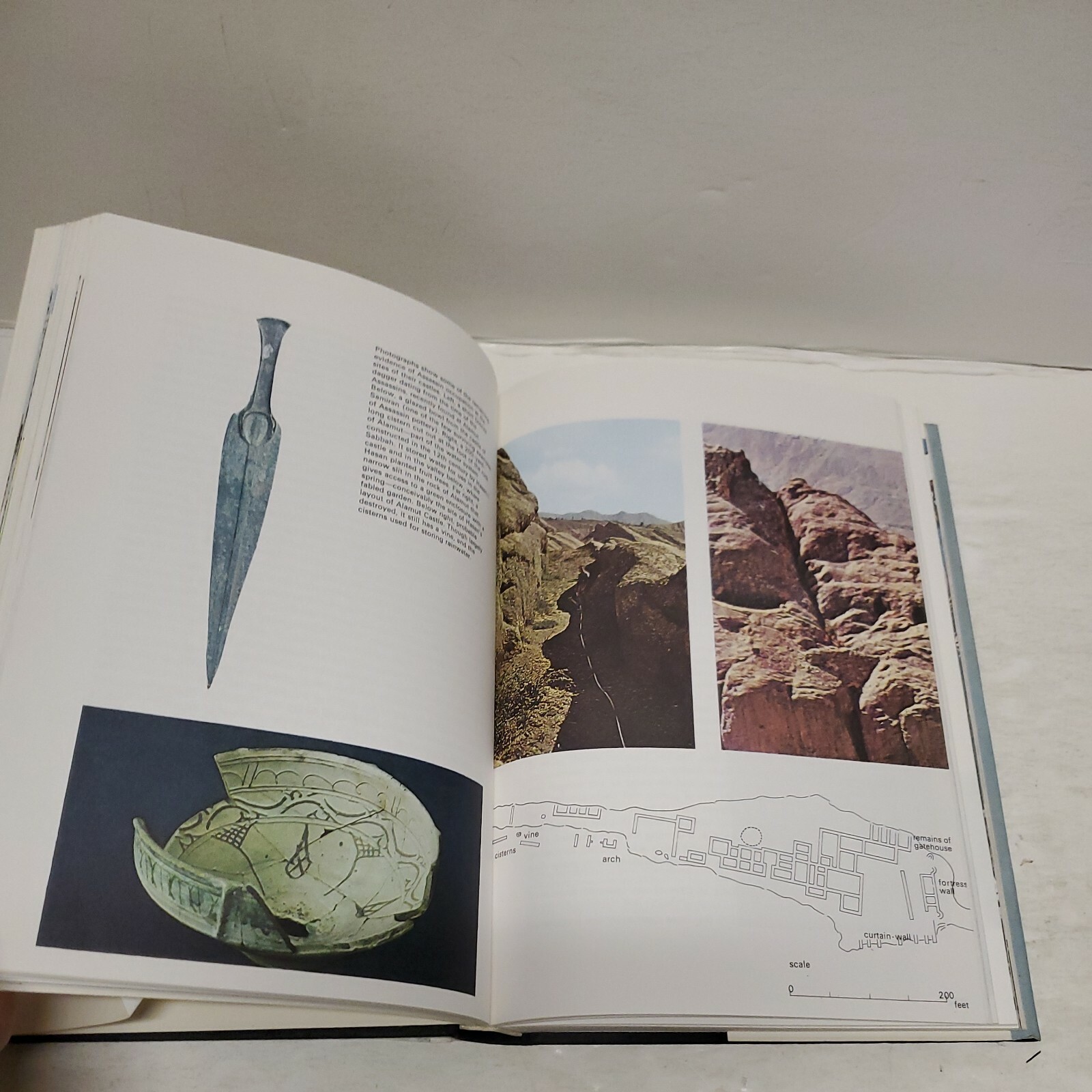 SECRET SOCIETIES edited by NORMAN MACKENZIE HARDCOVER 350 PAGES