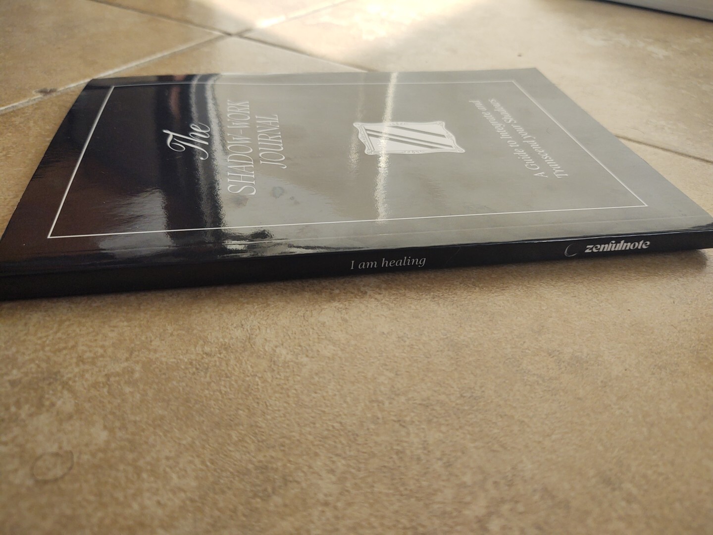 THE SHADOW WORK JOURNAL Guide Integrate & Transcend Your Shadows Self Help Book