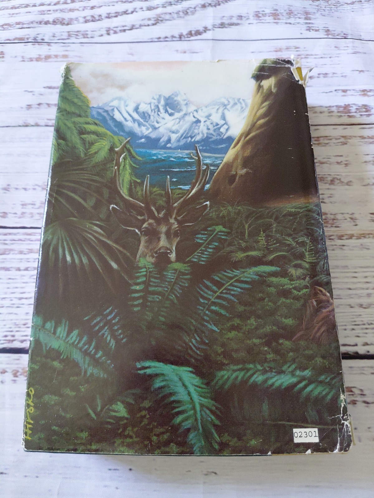 The Clan Of The Cave Bear By Jean M Auel 1980 First Edition Book Club Hardcover