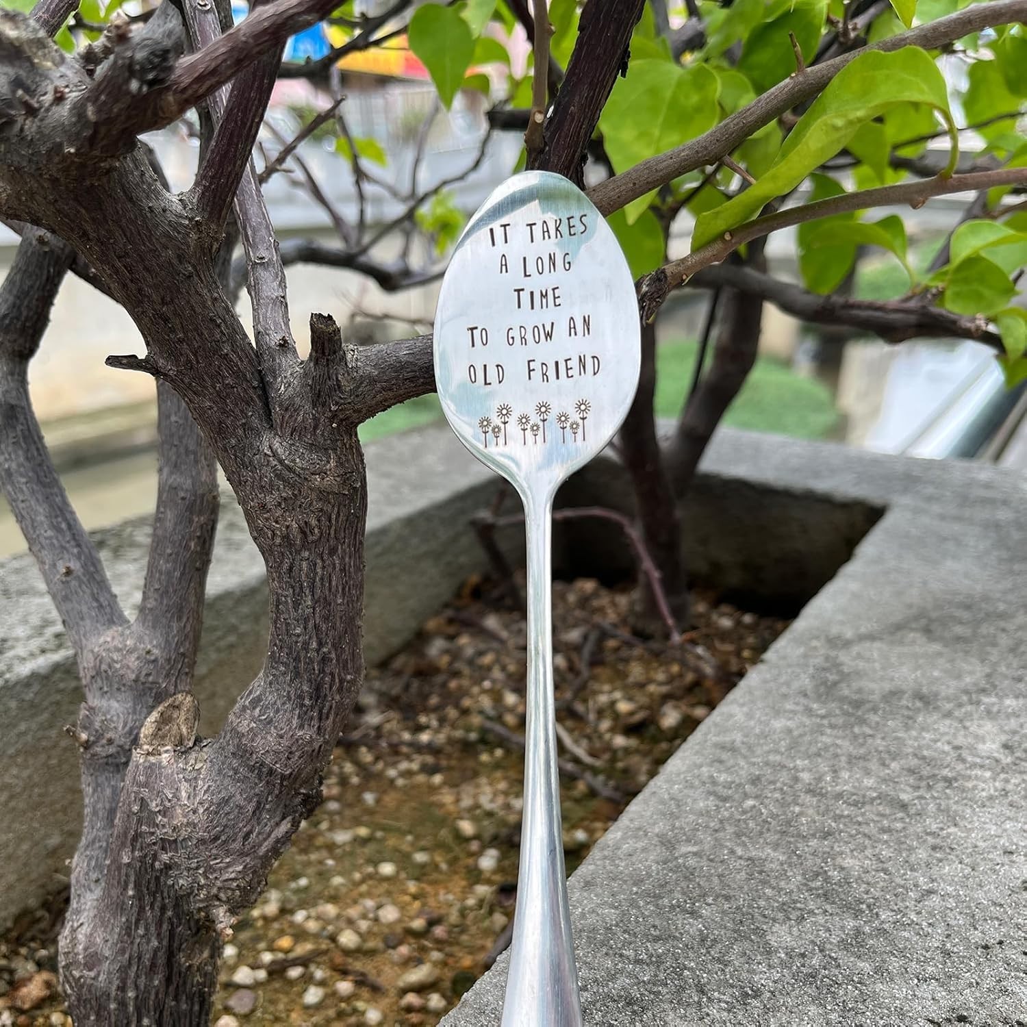 Charming Rectangular Plant Stake – Metal Gardening Gift for Women, 1 Count