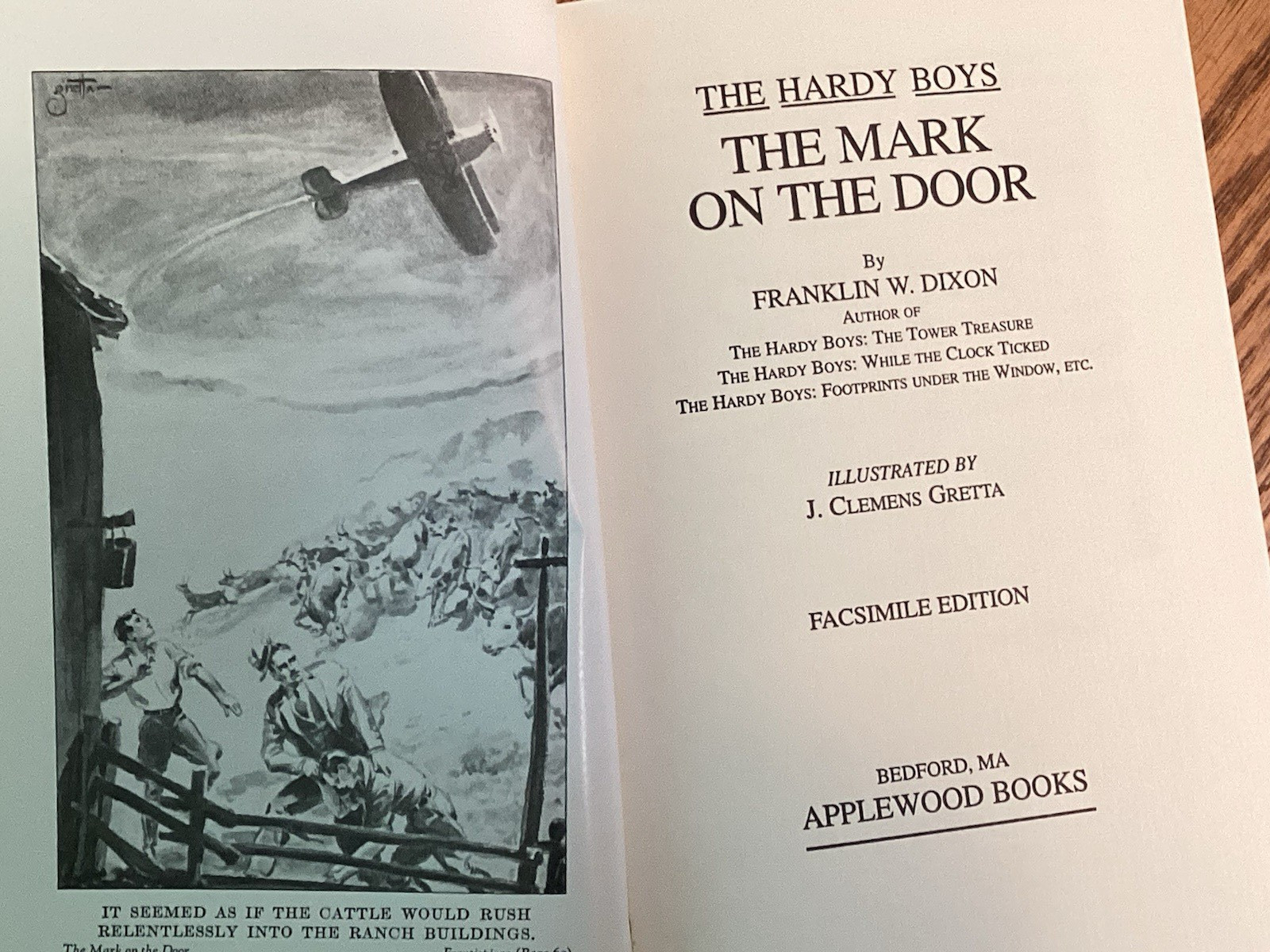 Applewood Hardy Boys „The Mark on the Door“ F. W. Dixon (2001, Hardcover)