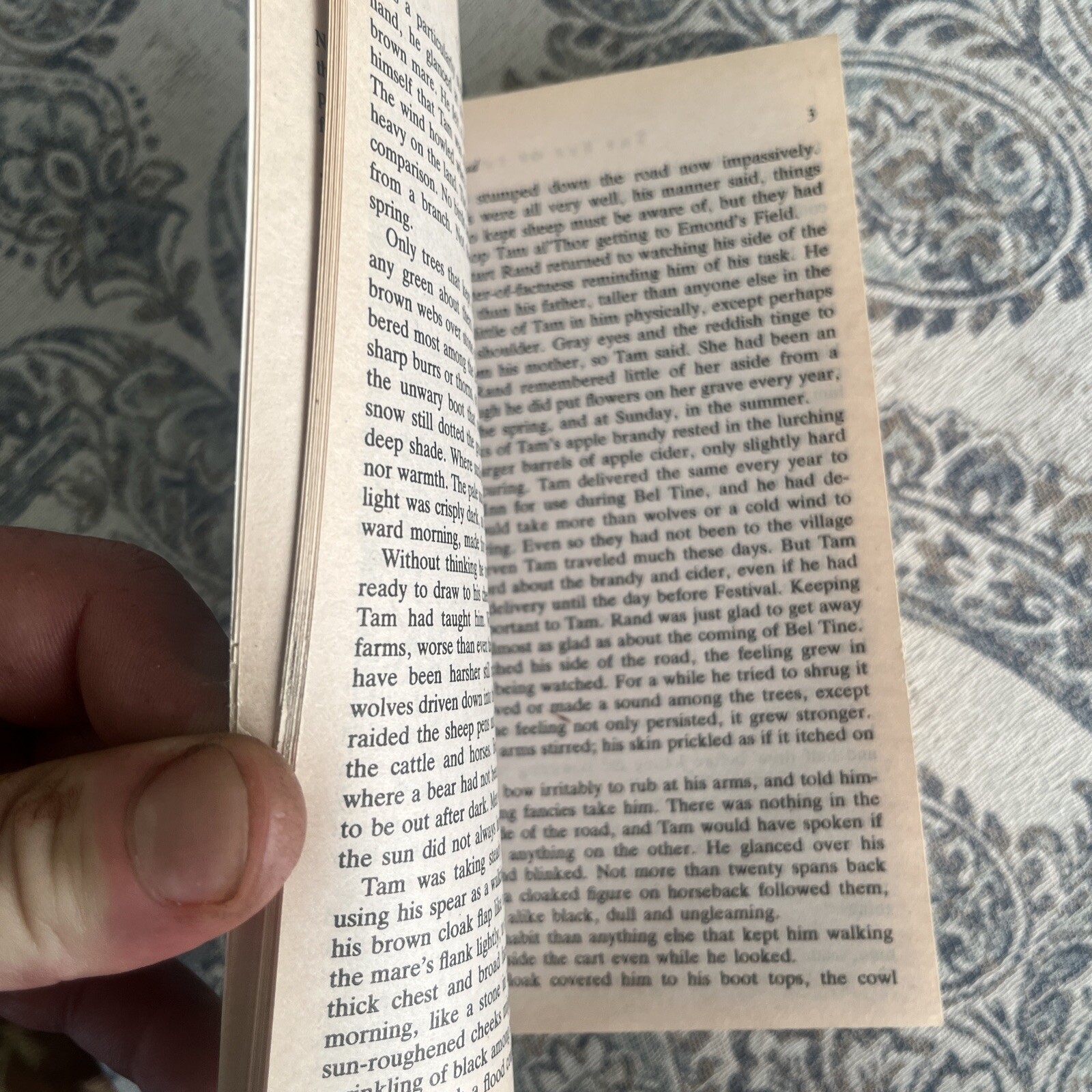 Wheel of Time Ser.: The Eye of the World by Robert Jordan (1990, Mass Market,…