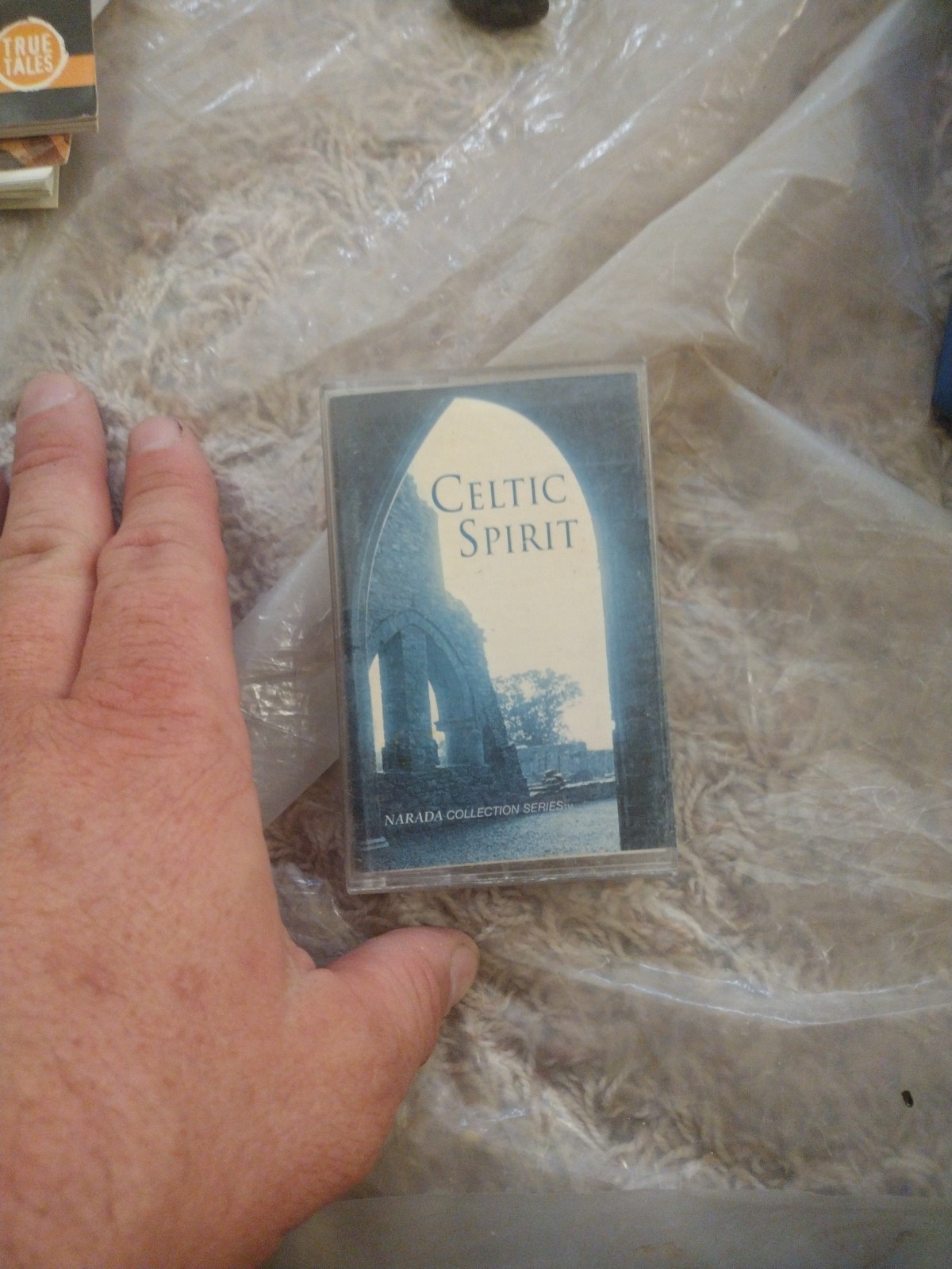 Bulk/Huge Lot of 20 CD Tapes CD Cassettes Mudic Culture Random – Free Shipping!