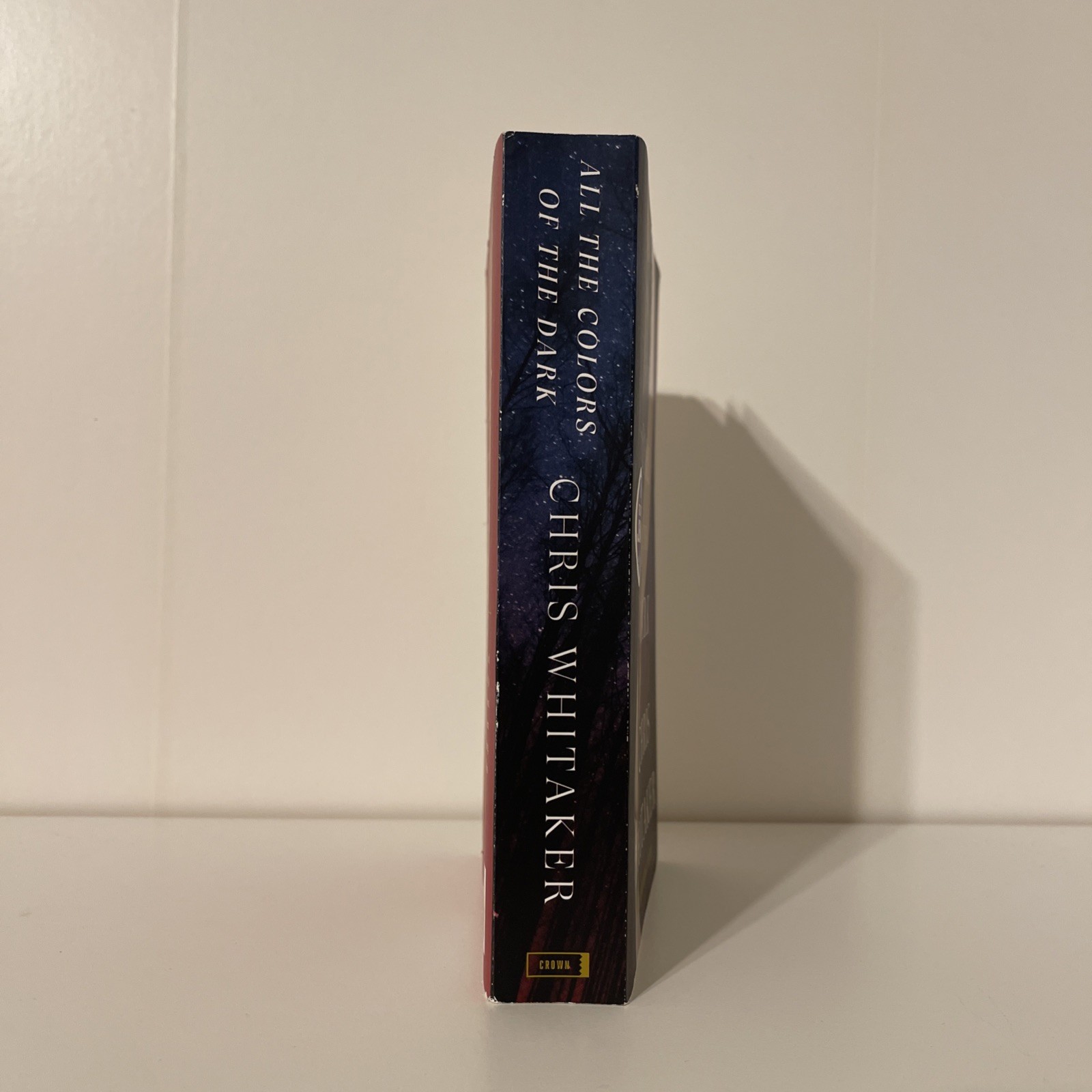 All the Colors of the Dark: a Read with Jenna Pick by Chris Whitaker
