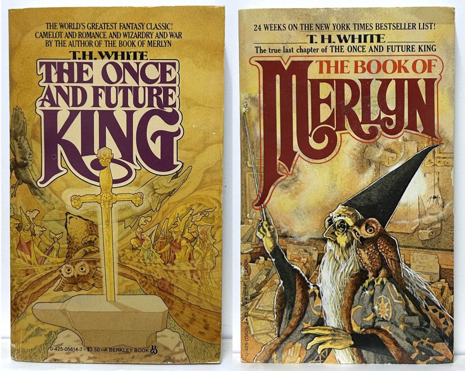 T.H. White ONCE & FUTURE KING, BOOK OF MERLYN lot of 2 mm paperback