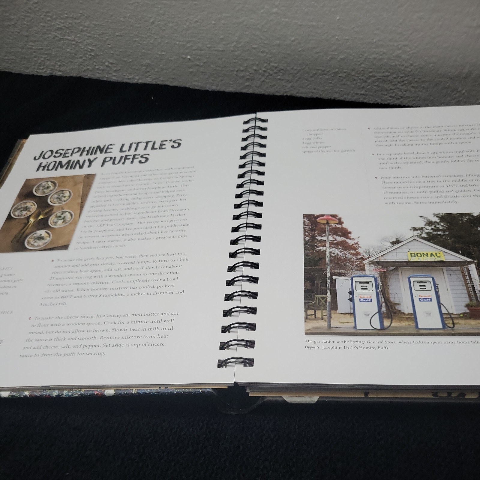 Dinner With Jackson Pollock: Recipes, Art & Nature by Lea, Robyn (2015) Spiral