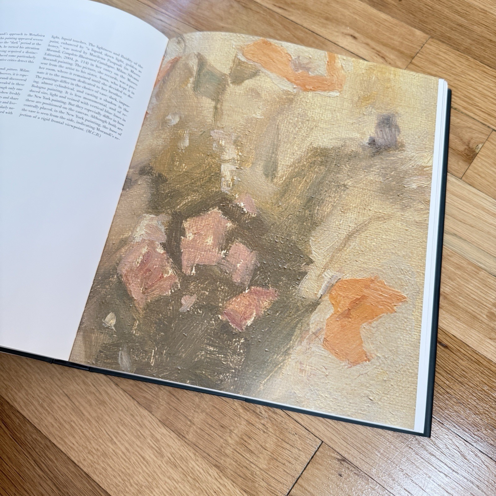 Morandi 1890-1964 Hardcover Art Book Rizzoli International MAMbo & MOMA