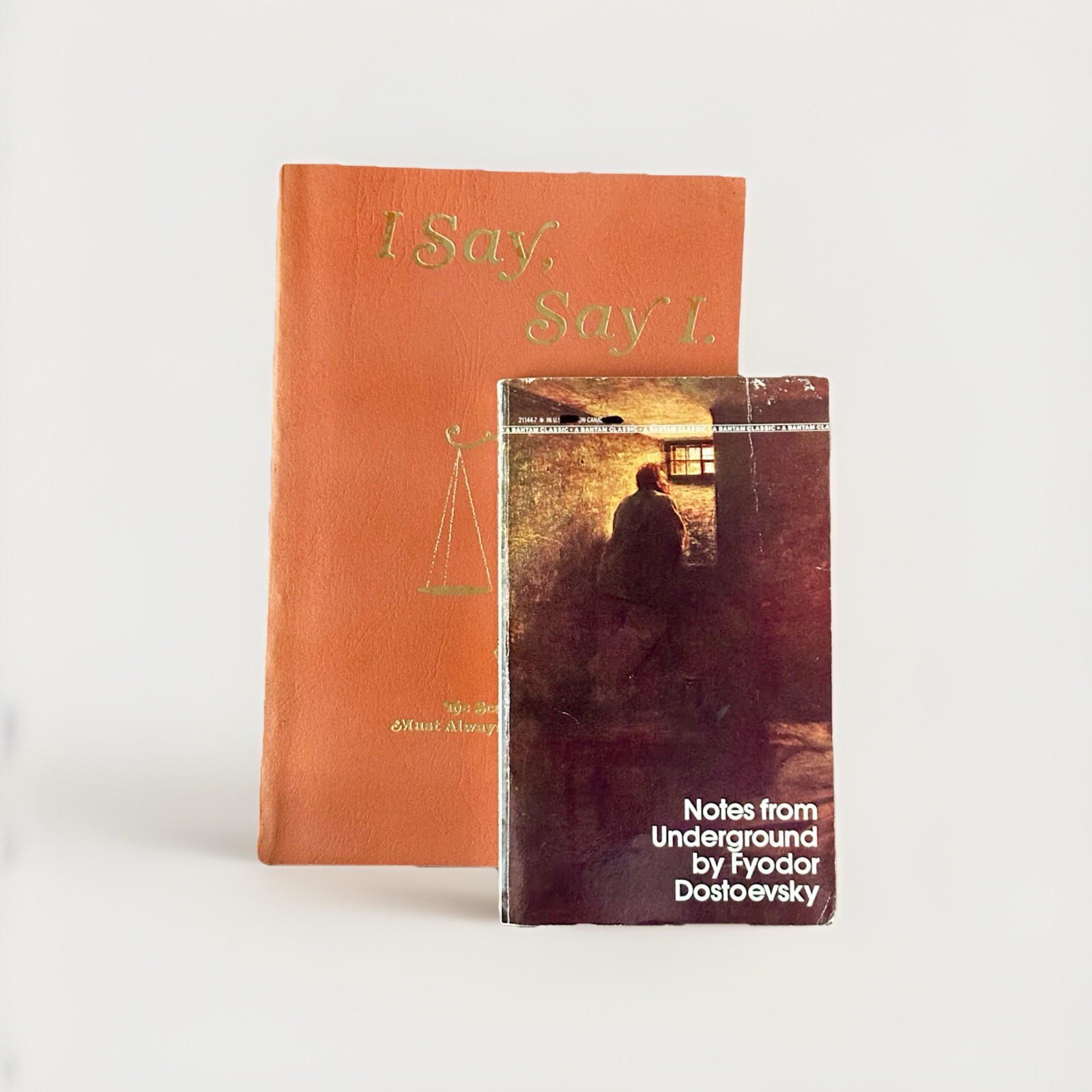 Two vintage Paperback in great condition. 1983. Good Condition see Pics