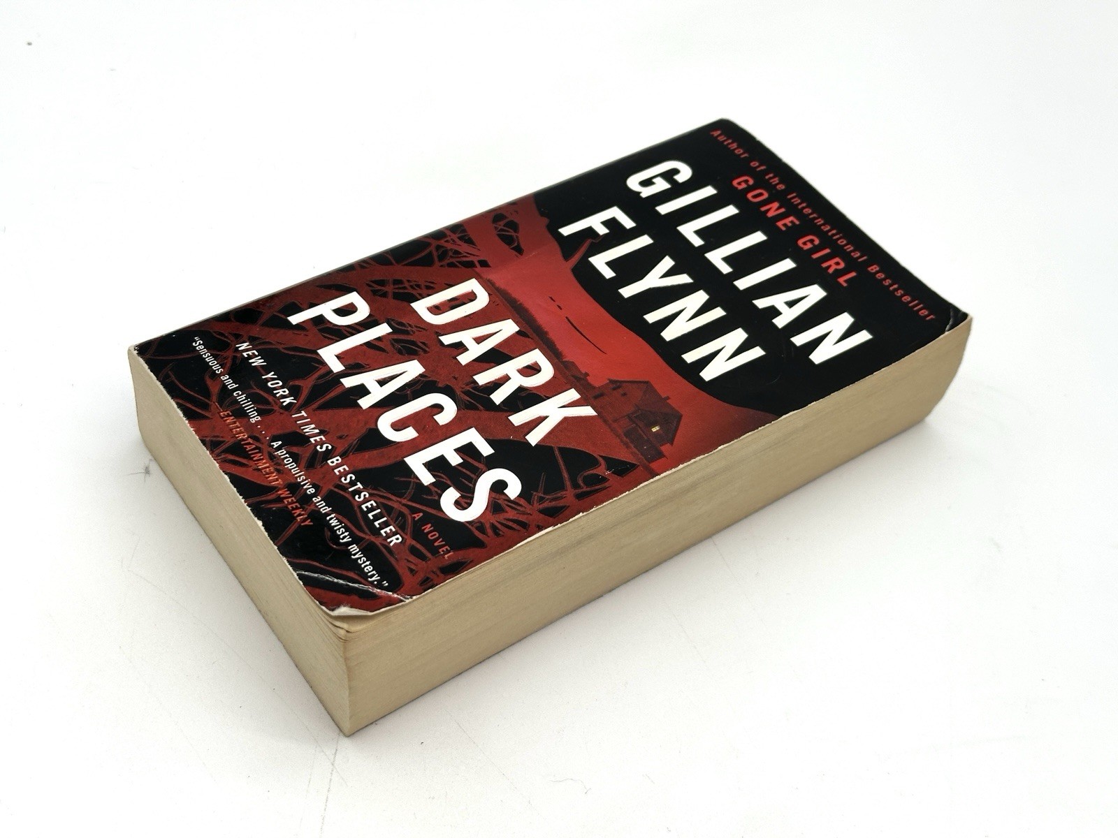 Dark Places : A Novel by Gillian Flynn (2018, Us-Tall Rack Paperback)