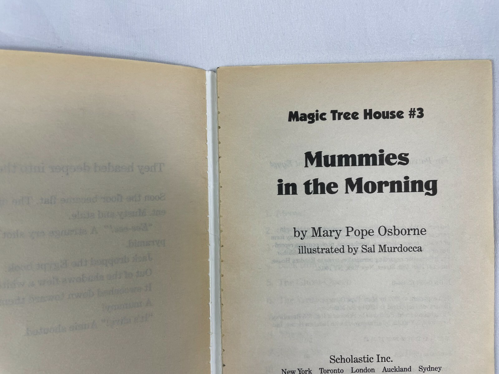 Magic Tree House LOT OF 3 Books Mary Pope Osborne