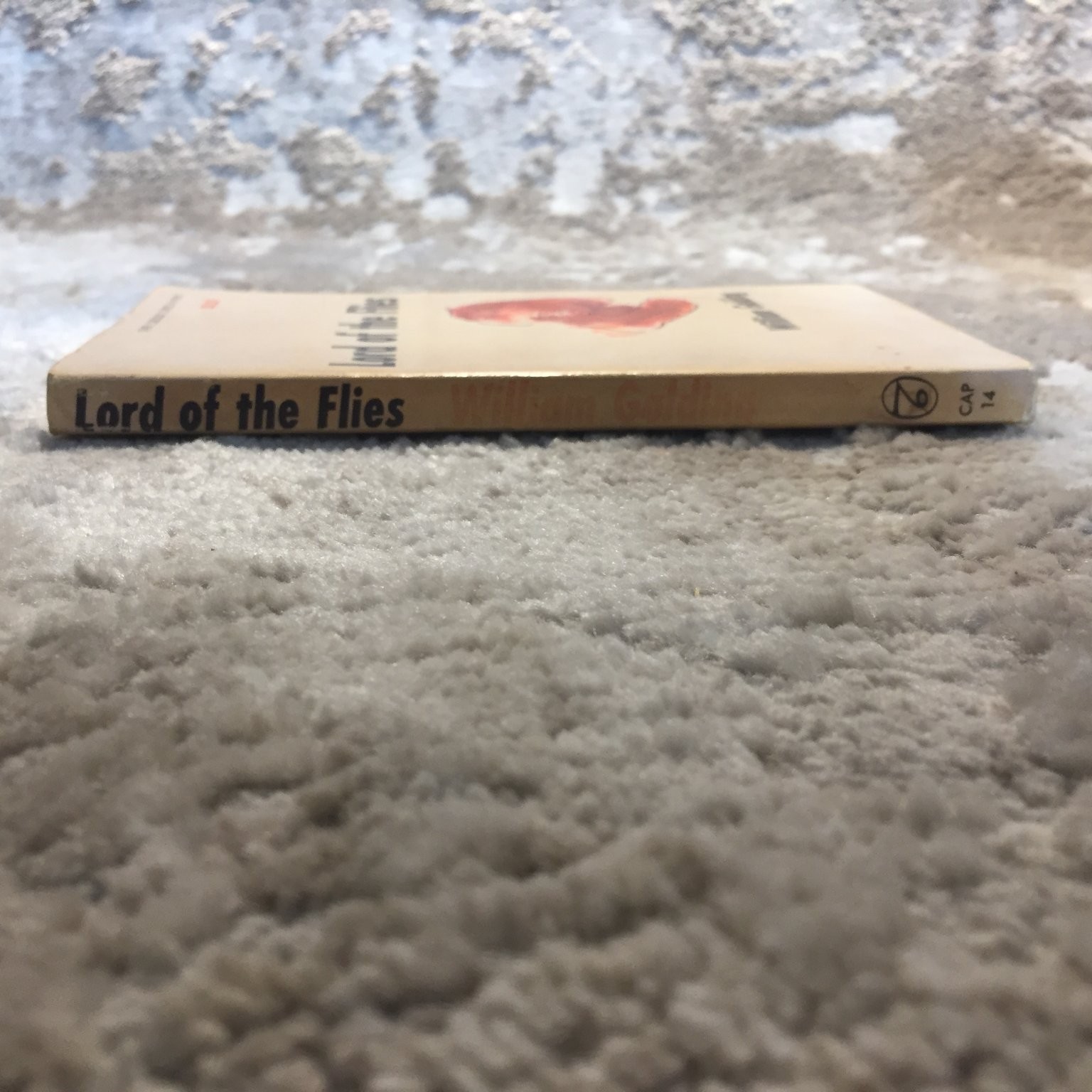 Lord of the Flies William Golding 1959 Capricorn Books Psychological Allegory