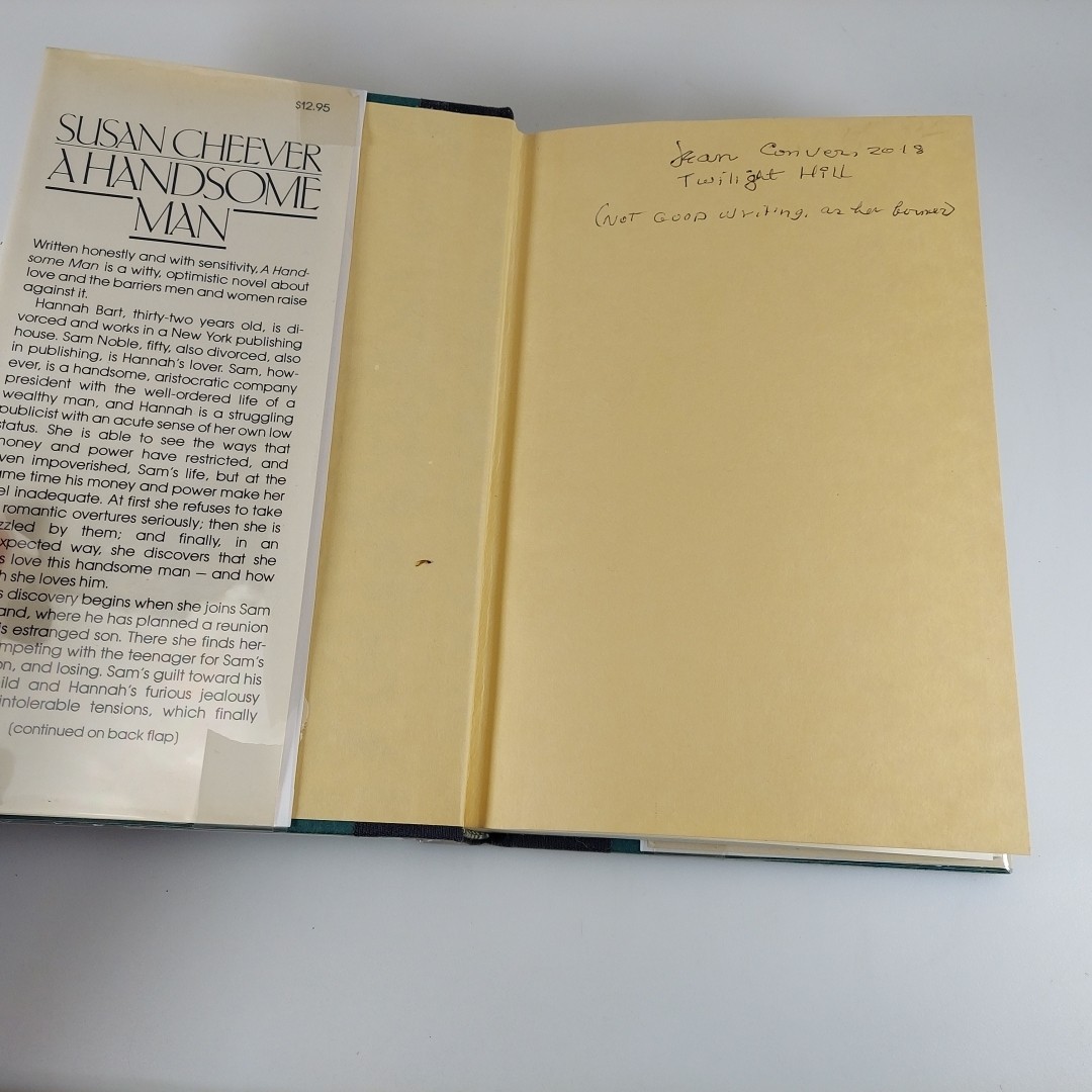 A Handsome Man Susan Cheever 1981 Simon And Schuster 1st Print HCDJ Lot 2